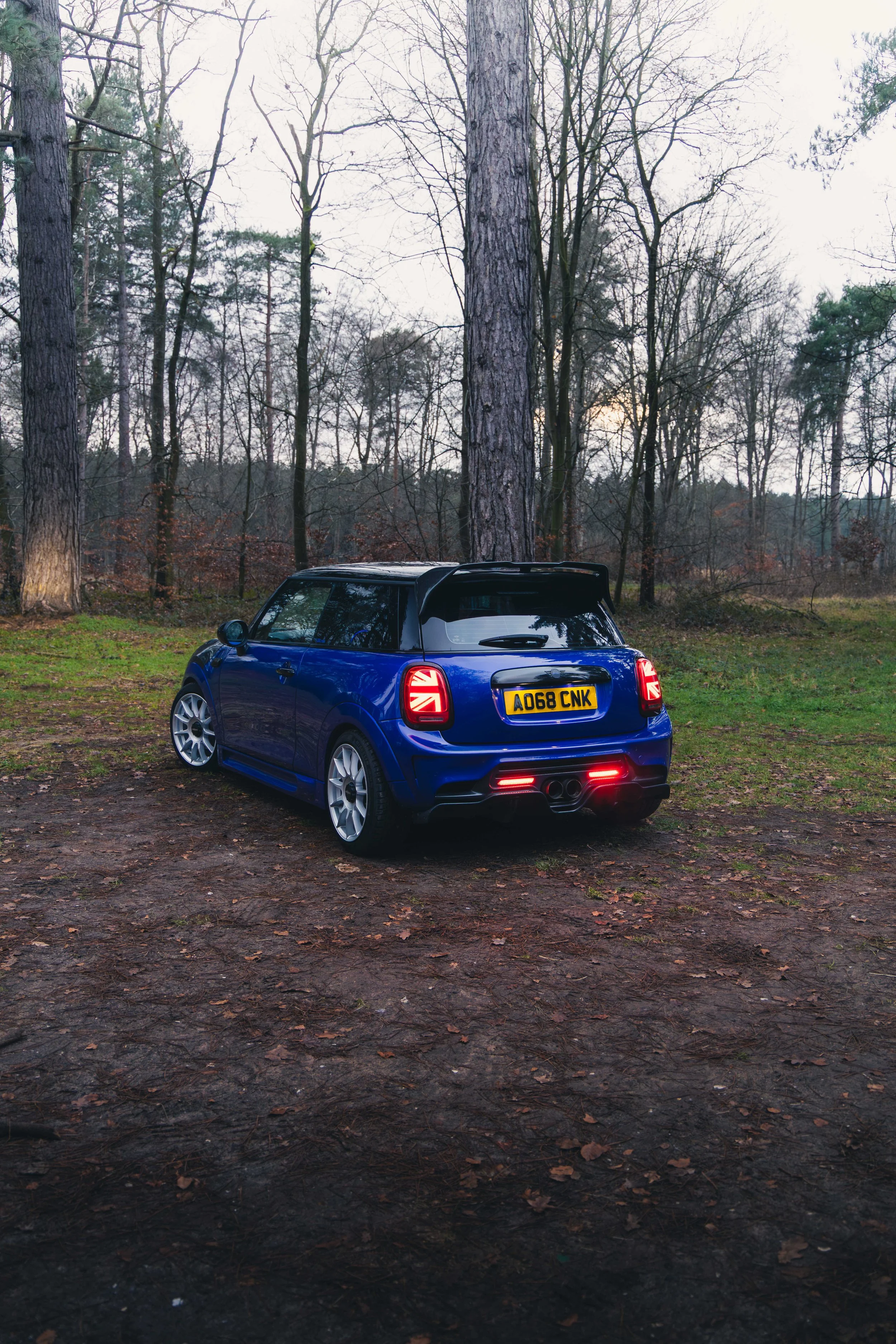 IMG_9451 edited LRC.jpg