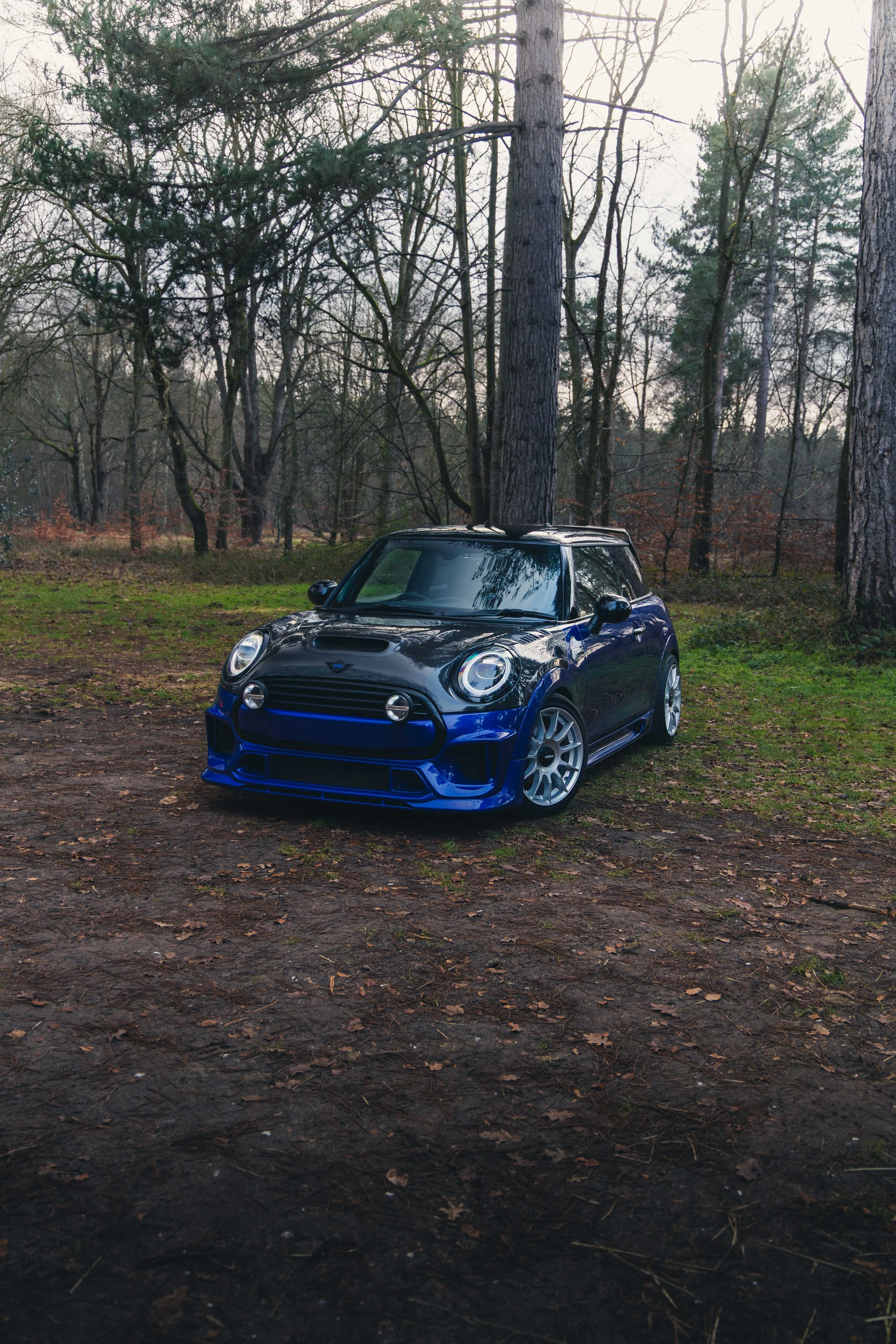 IMG_9437 edited LRC.jpg