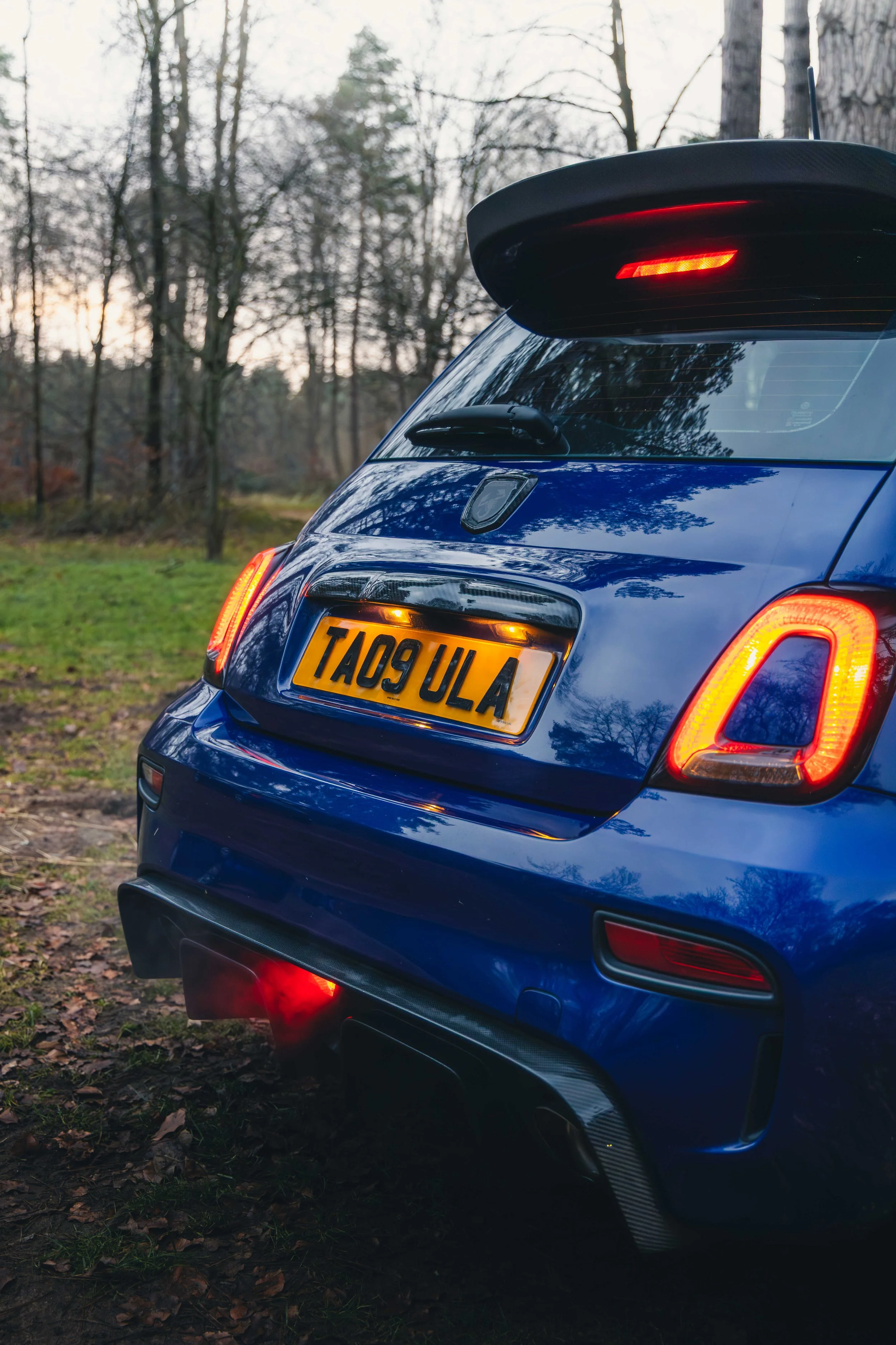 IMG_9492 edited LRC.jpg