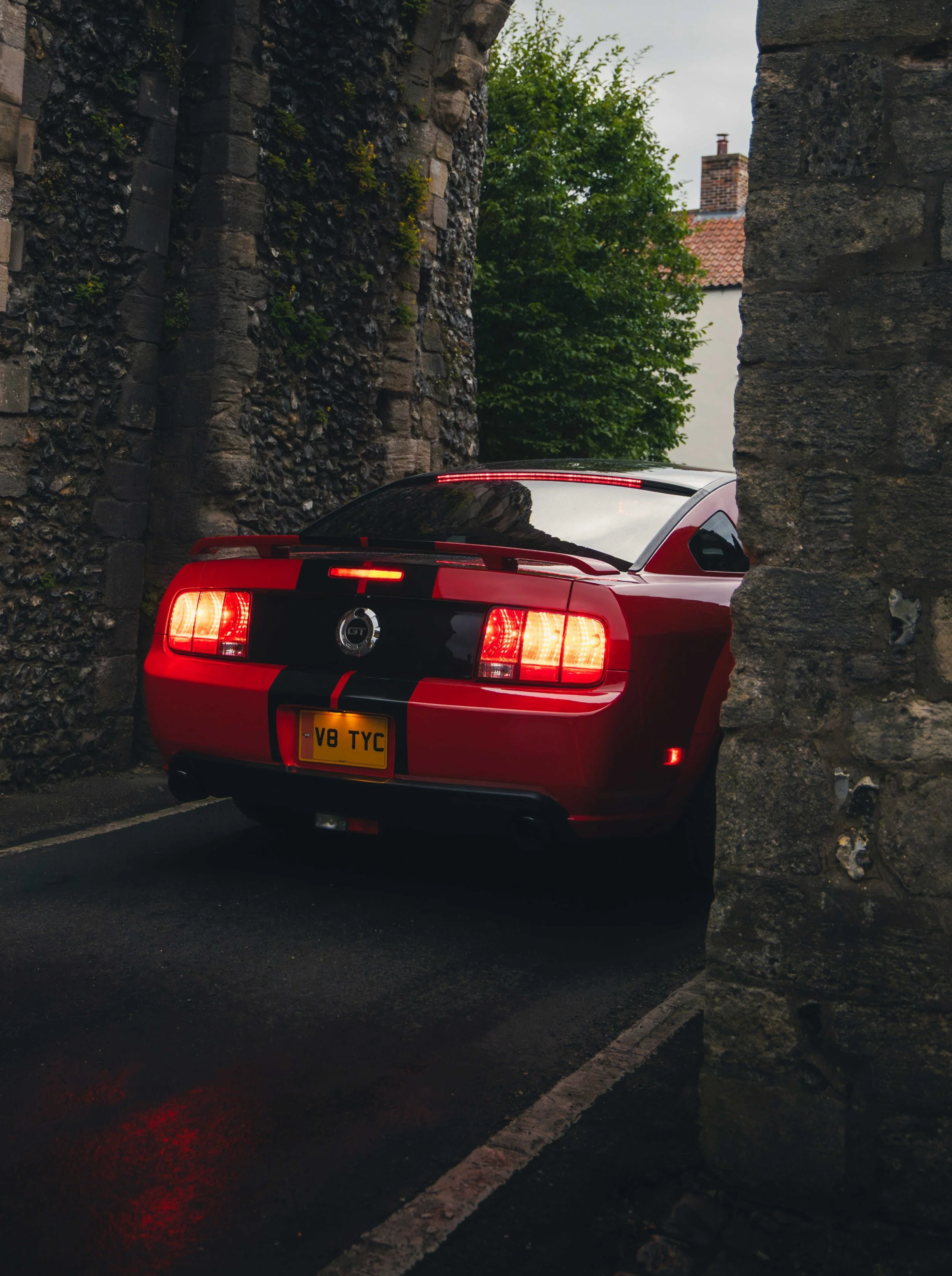 IMG_4785 edited LRC cropped.jpg