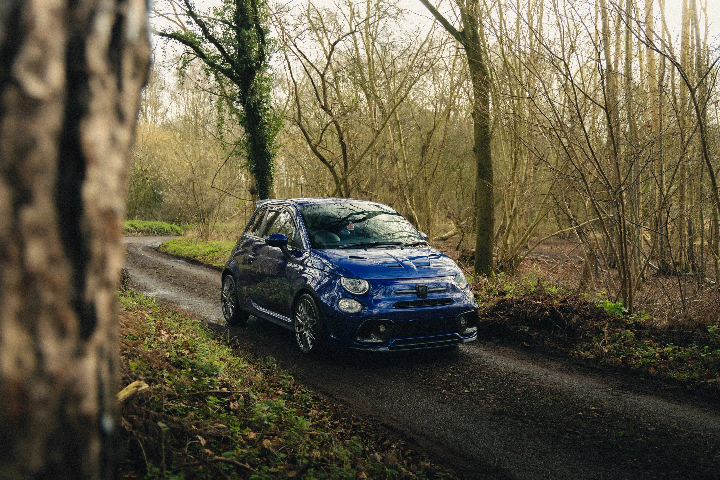 IMG_9505 edited LRC Film Look.jpg