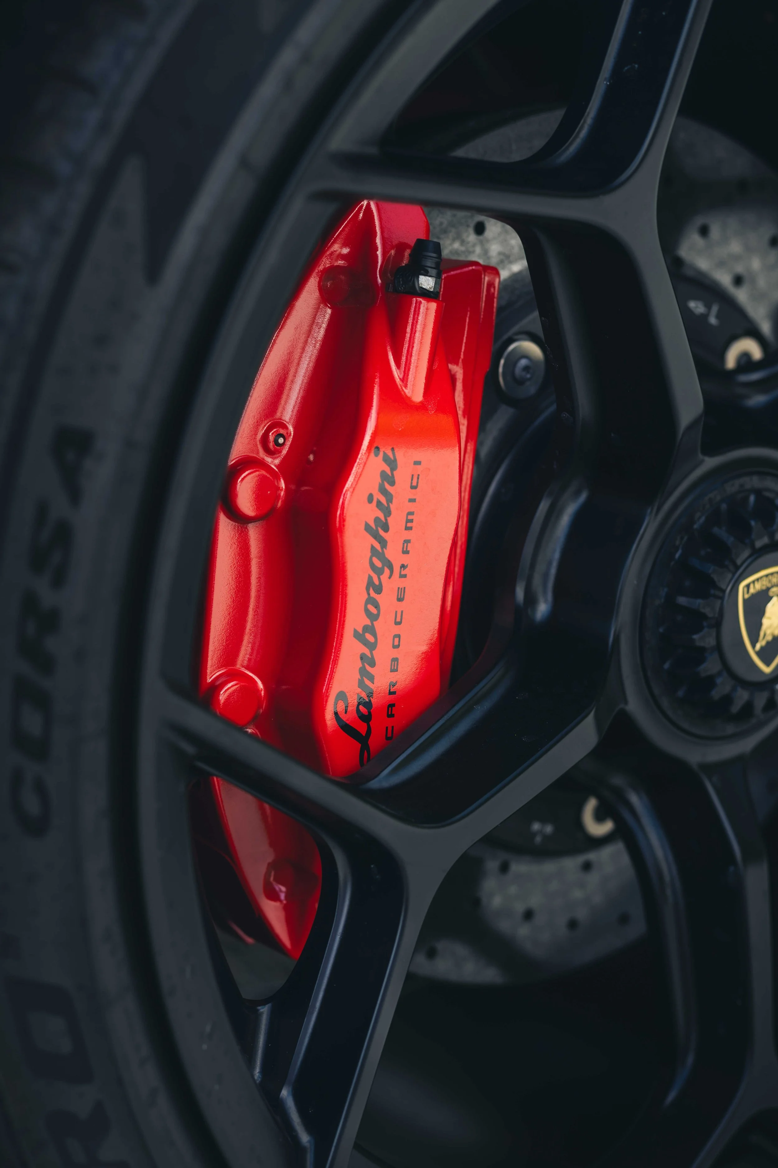 IMG_9196 edited LRC.jpg