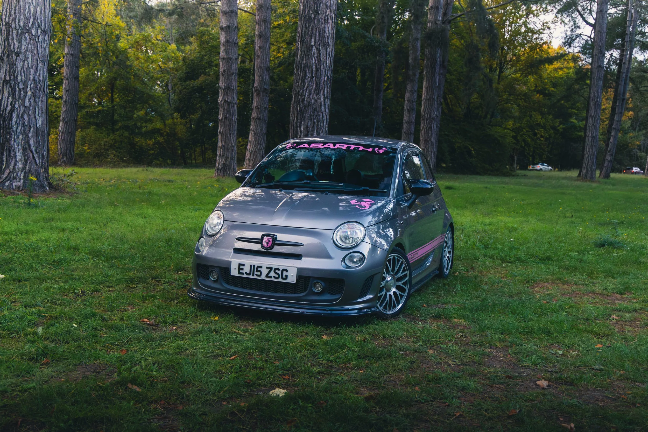 IMG_9231 edited LRC.jpg