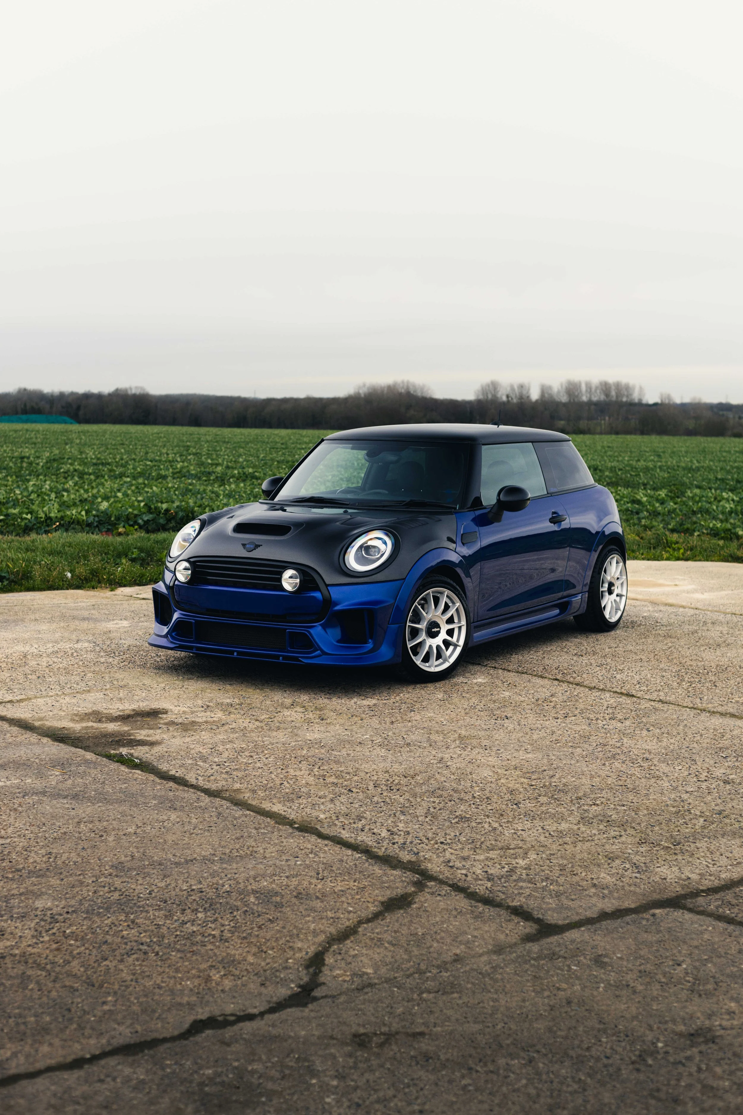 IMG_7949 edited LRC.jpg