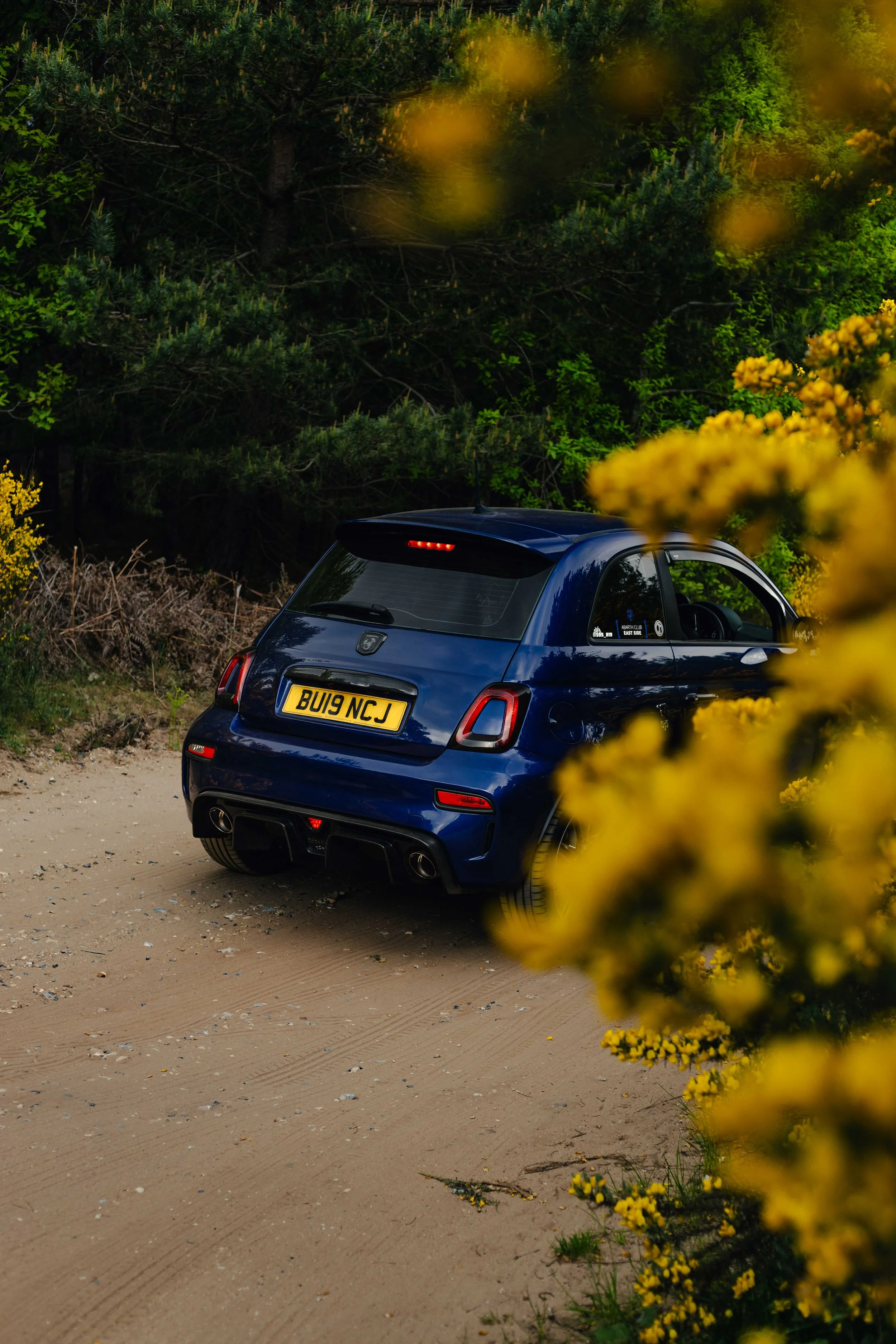 IMG_9436 edited LRC.jpg