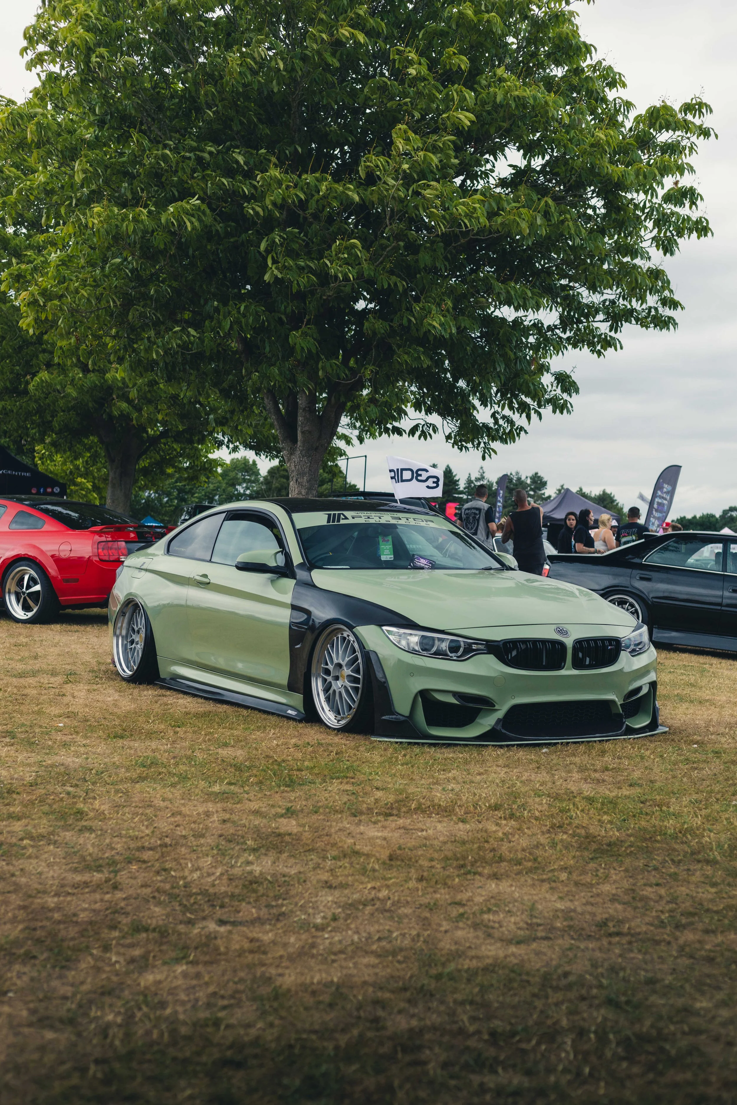 IMG_0510 edited LRC.jpg