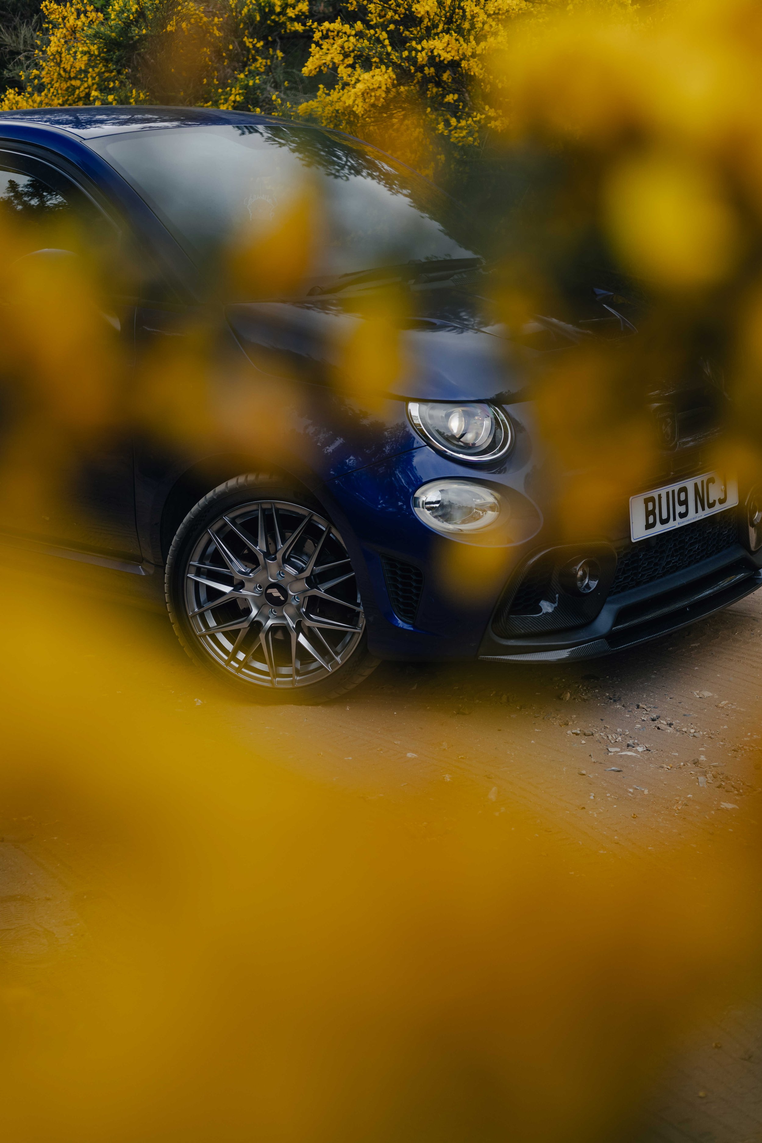 IMG_9444 edited LRC.jpg