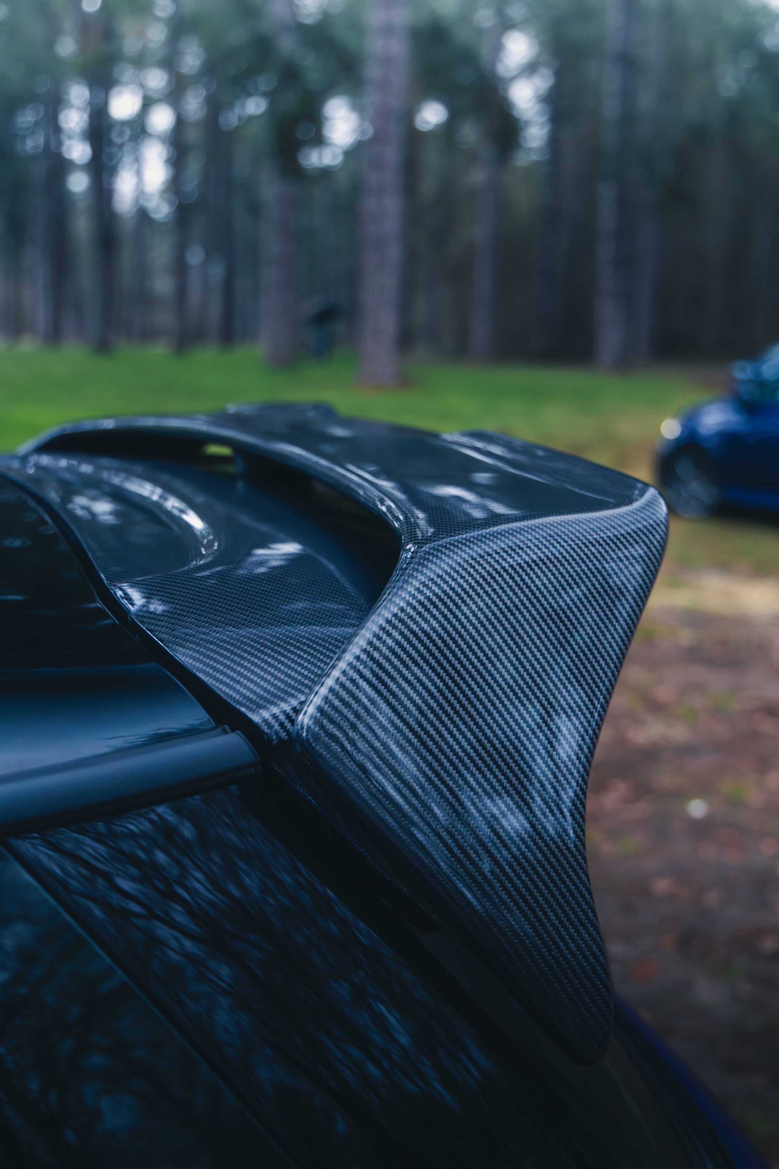 IMG_9469 edited LRC.jpg