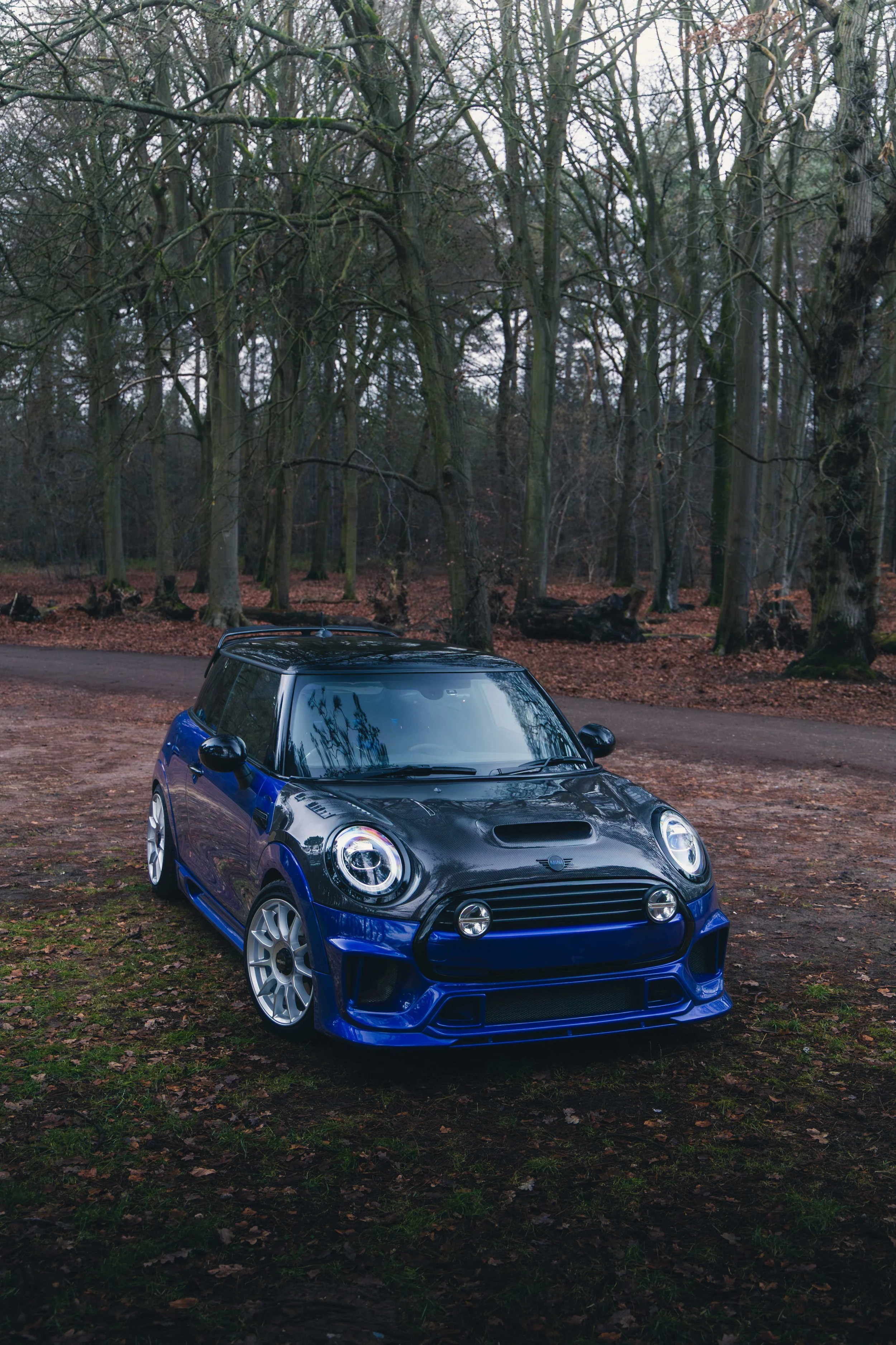 IMG_9458 edited LRC.jpg