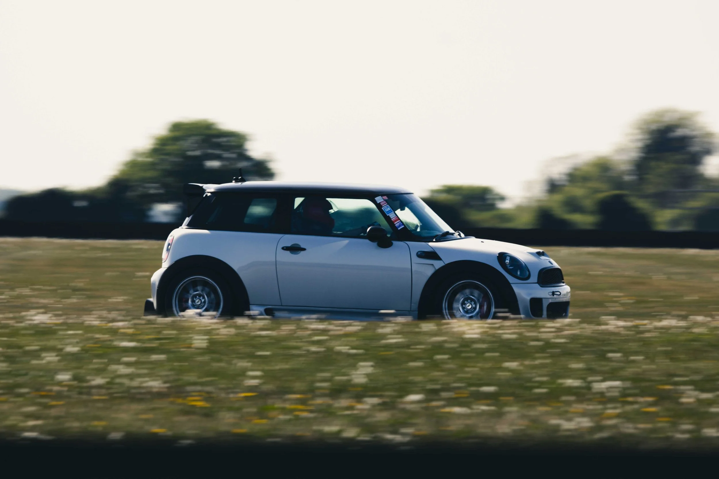 IMG_8638 edited LRC.jpg