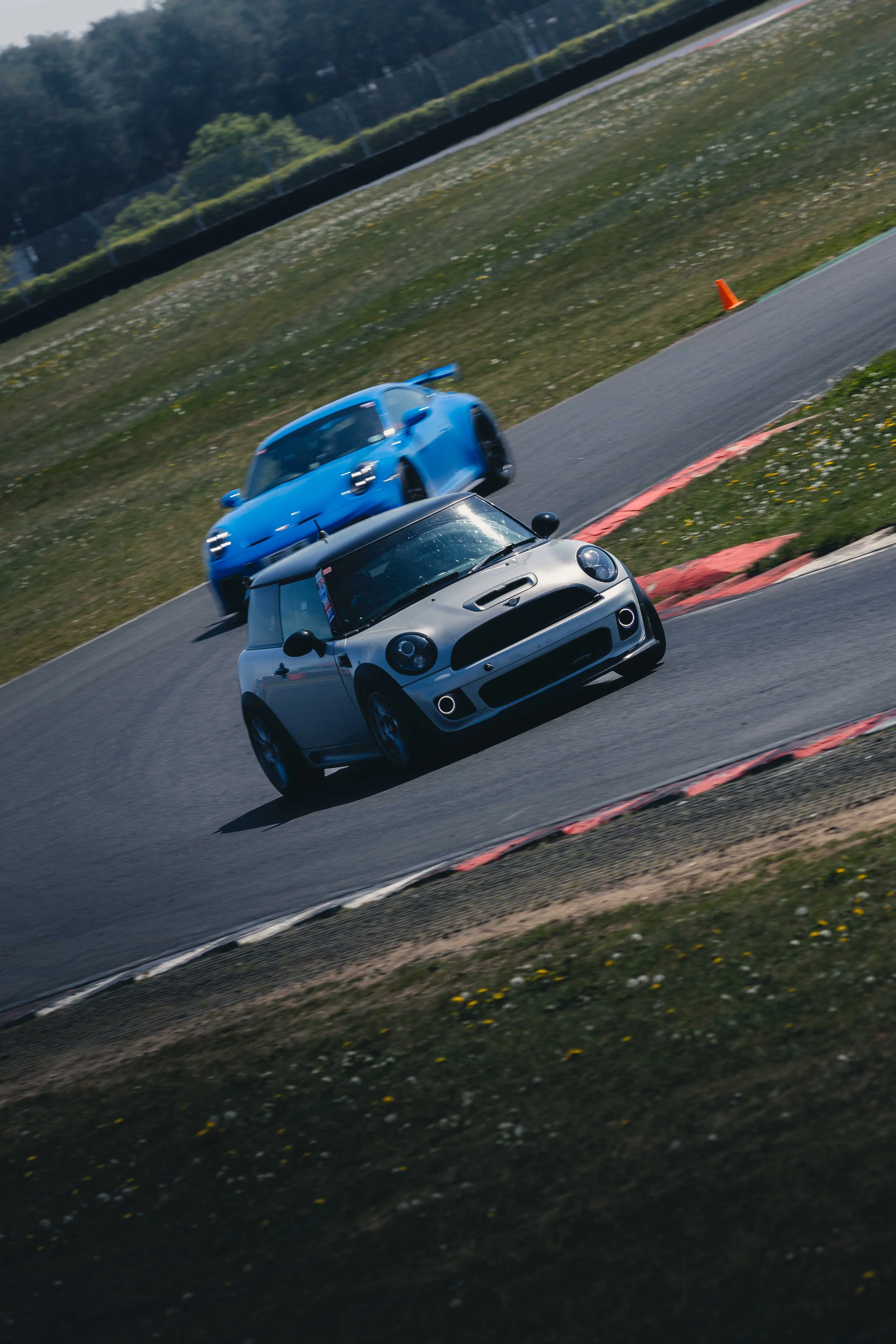 IMG_8546 edited LRC.jpg