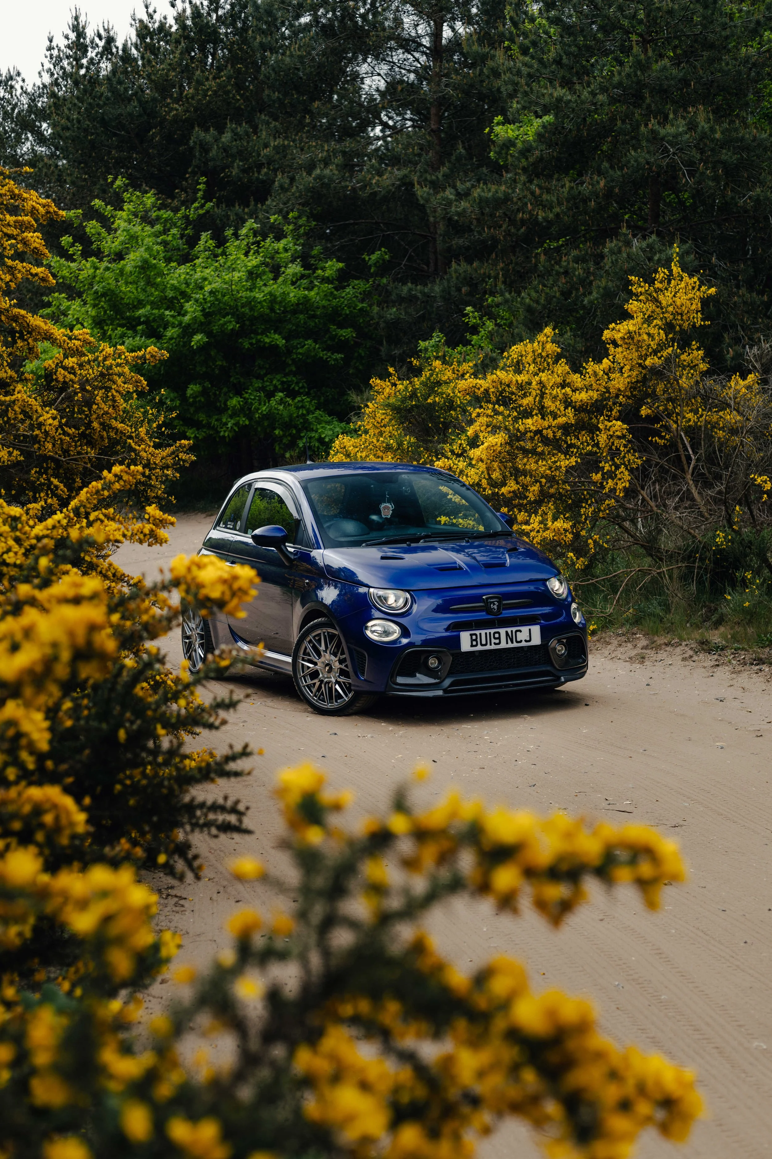 IMG_9432 edited LRC.jpg