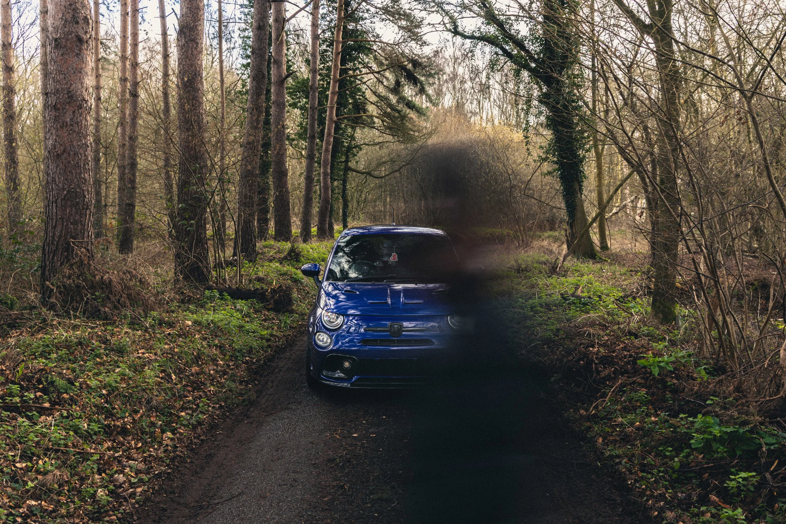 IMG_9514 edited LRC Film Look.jpg