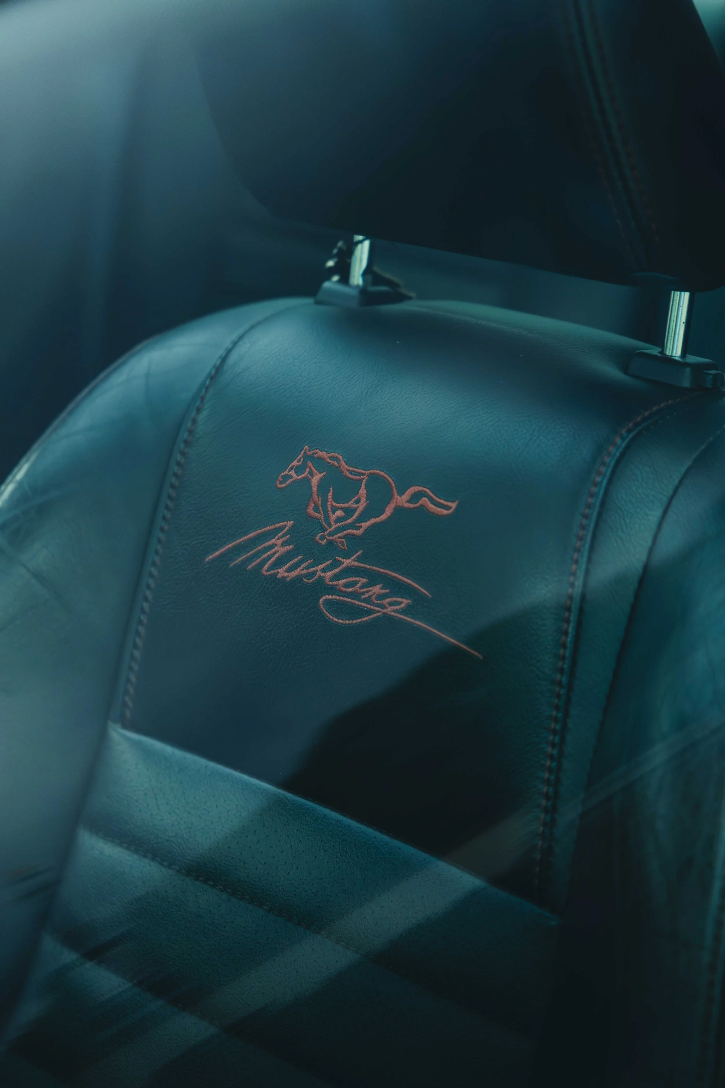 IMG_4676 edited LRC.jpg