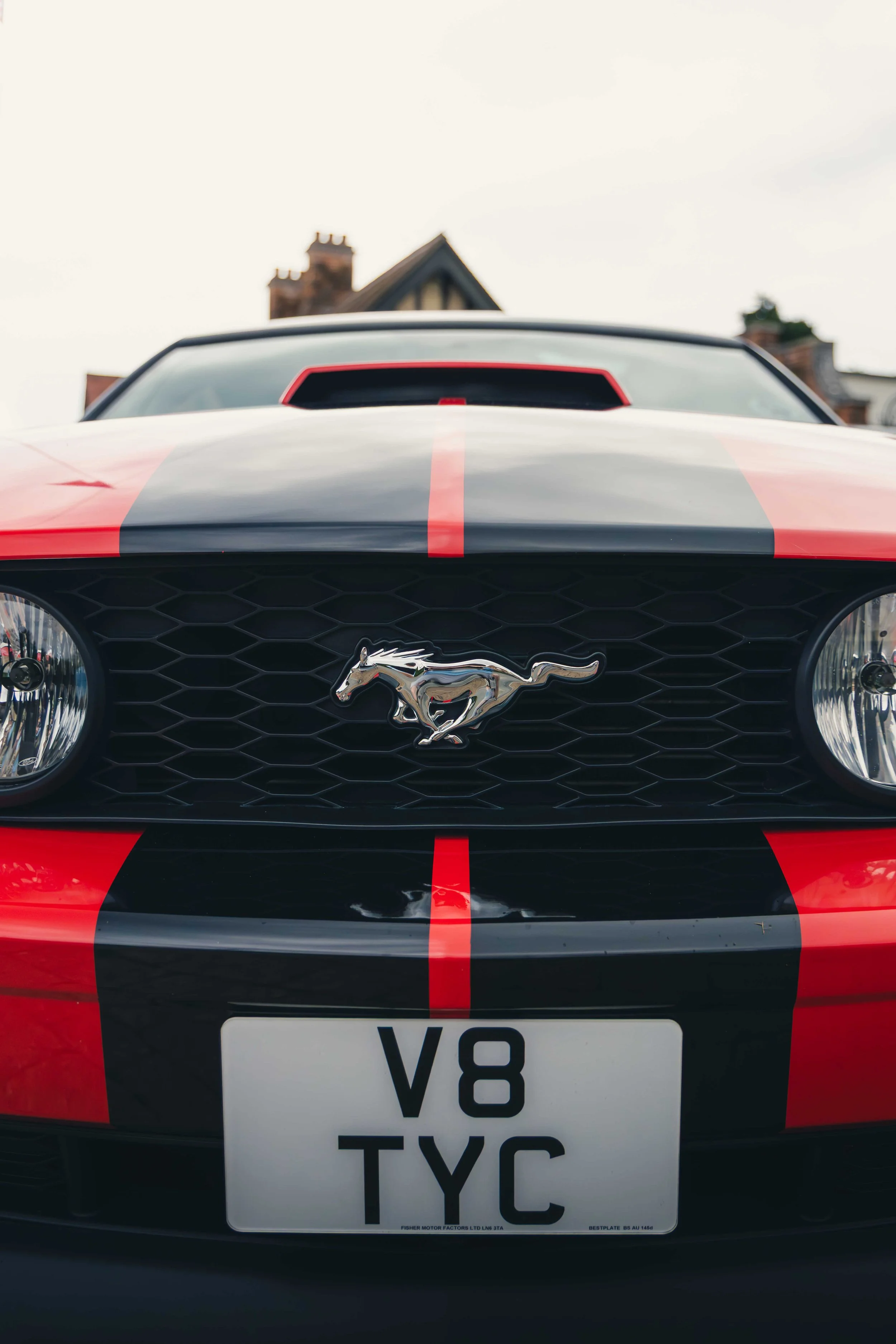 IMG_4650 edited LRC.jpg