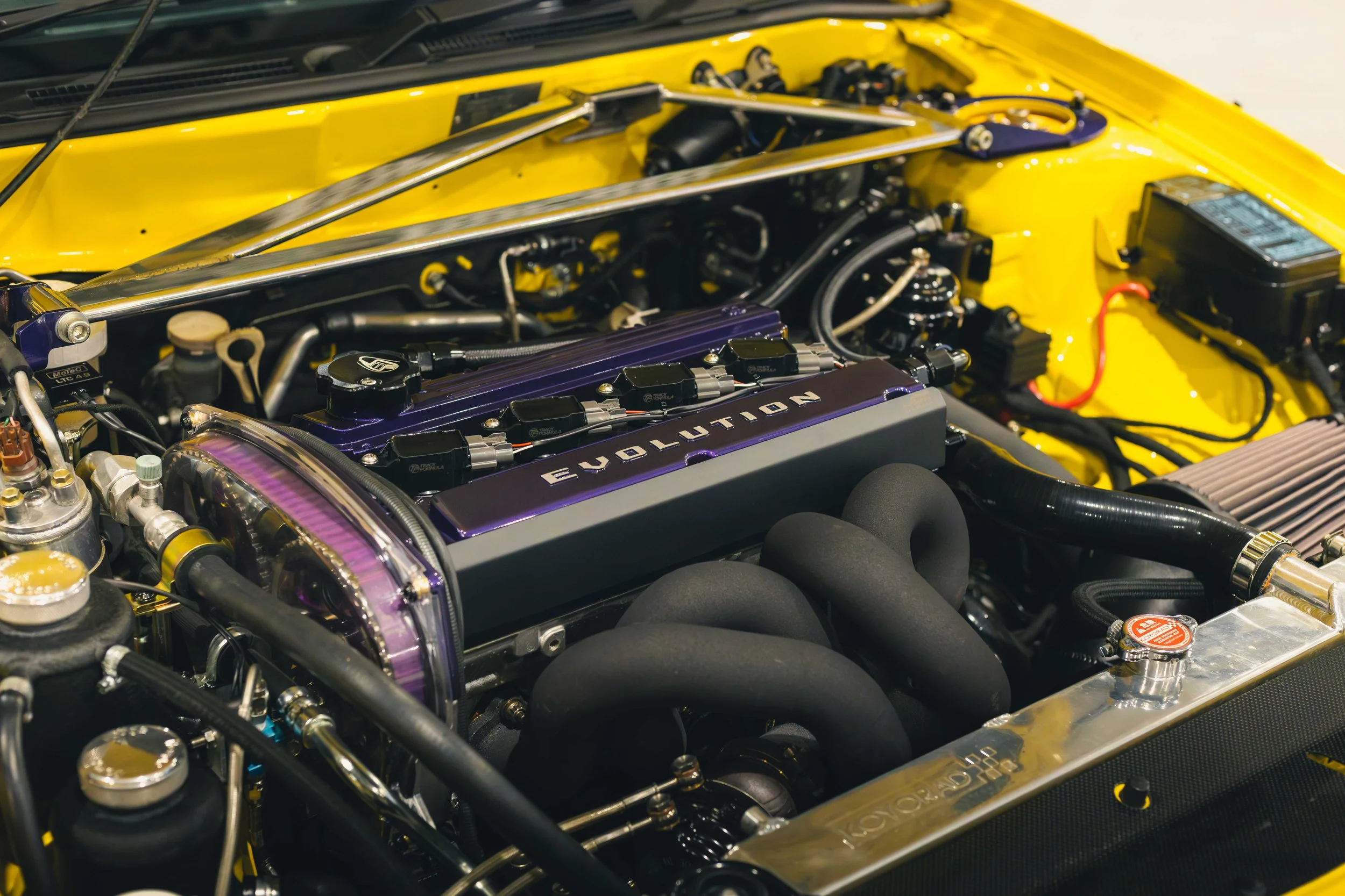 IMG_0415 edited LRC.jpg