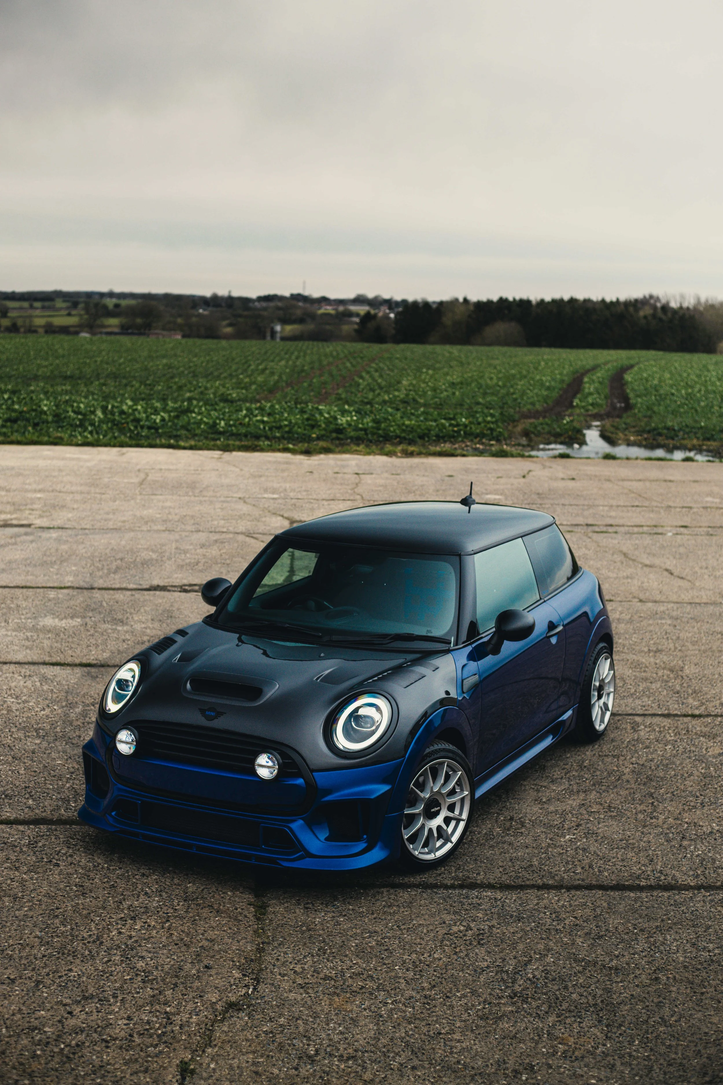 IMG_7953 edited LRC.jpg