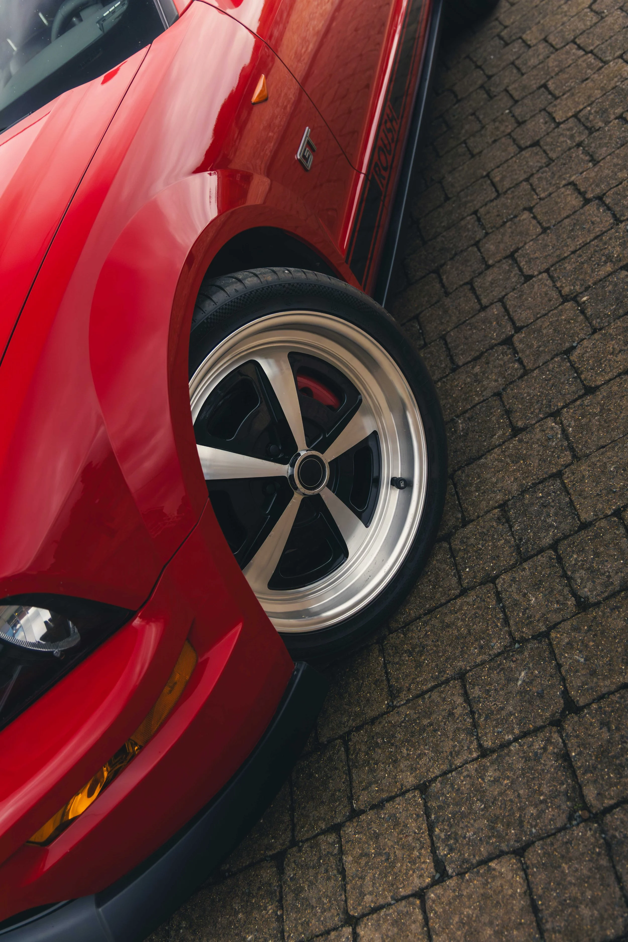 IMG_4649 edited LRC.jpg