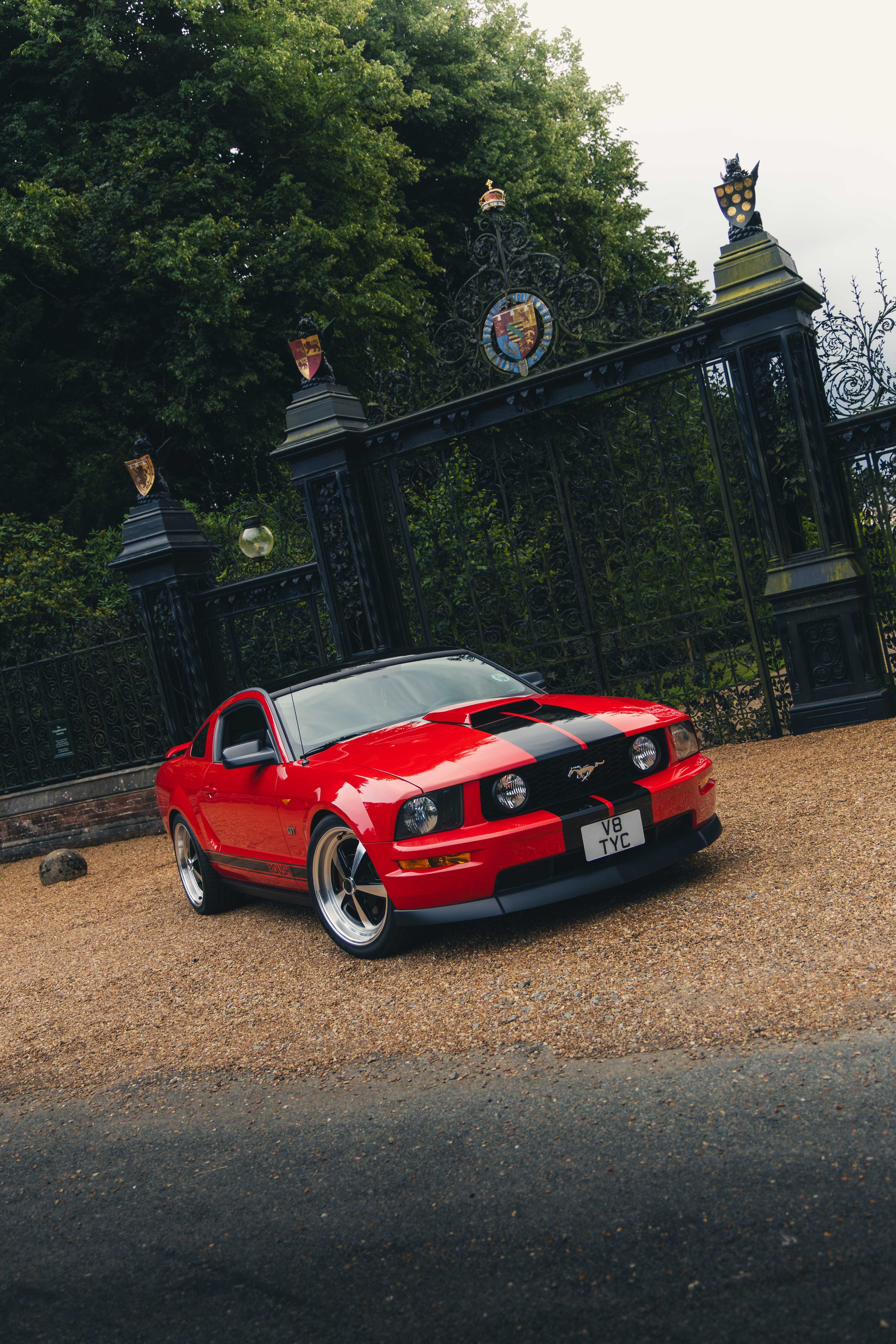 IMG_4686 edited LRC.jpg