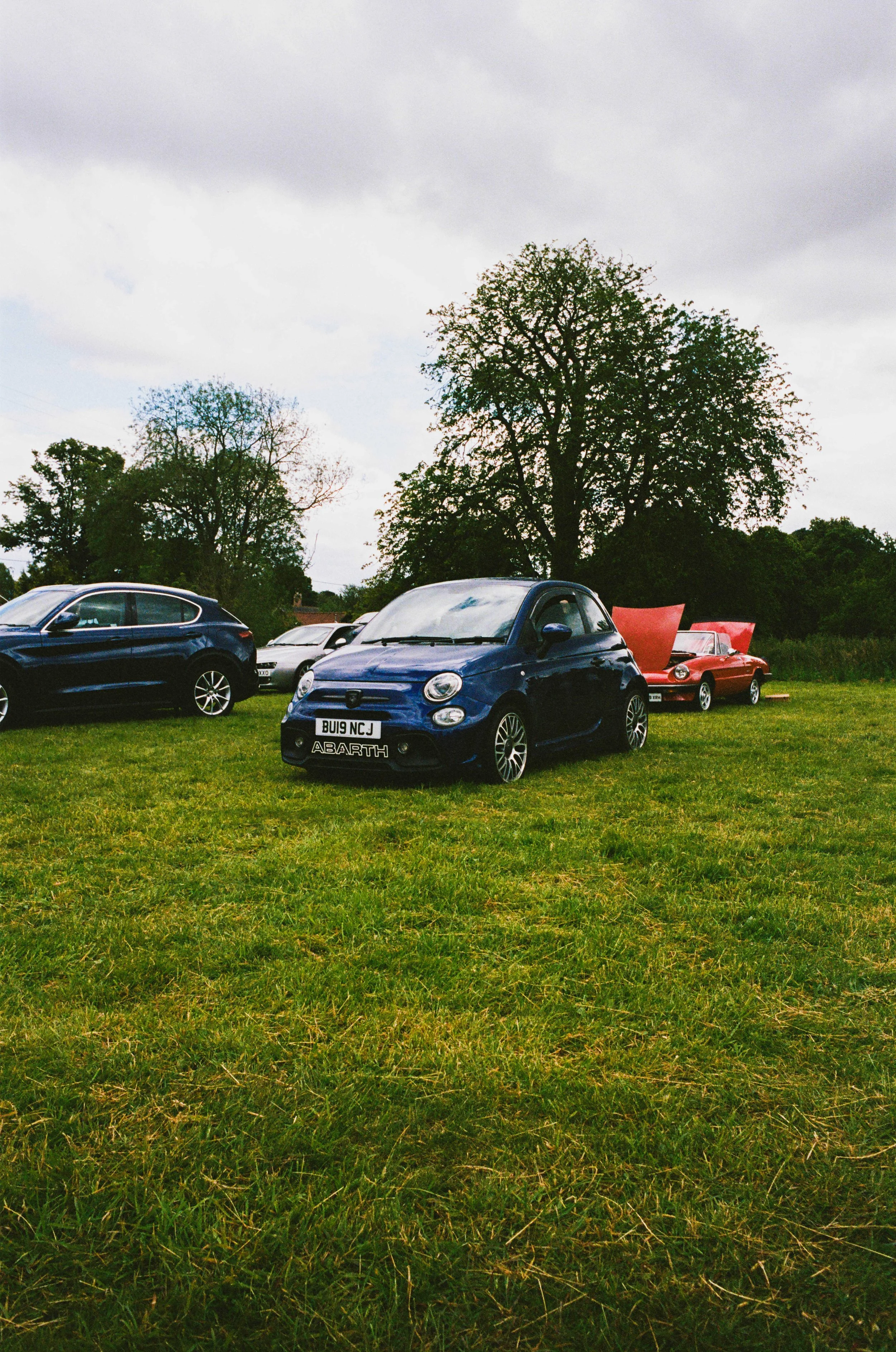 271392600010 edited LRC.jpg