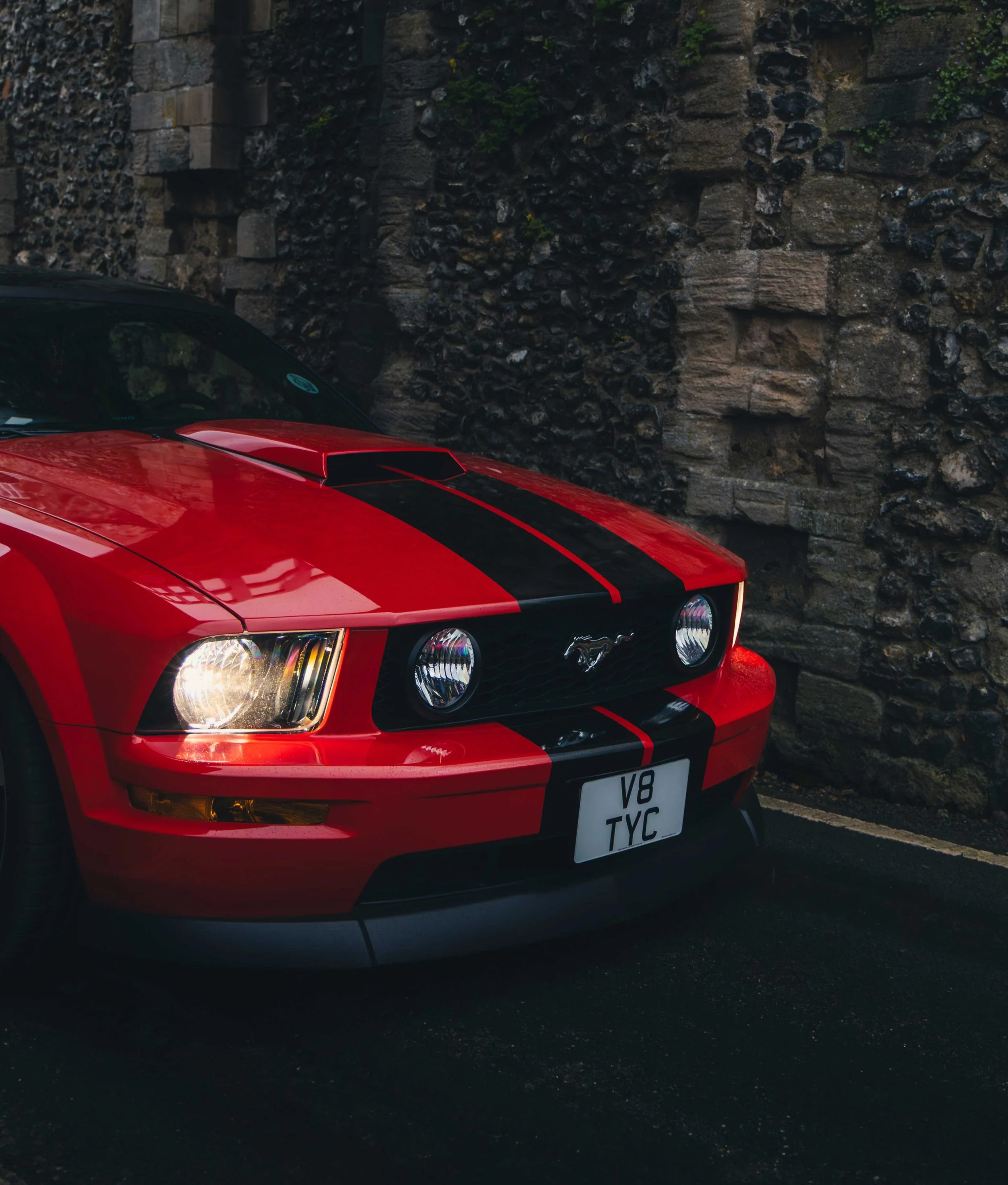 IMG_4783 edited LRC cropped.jpg