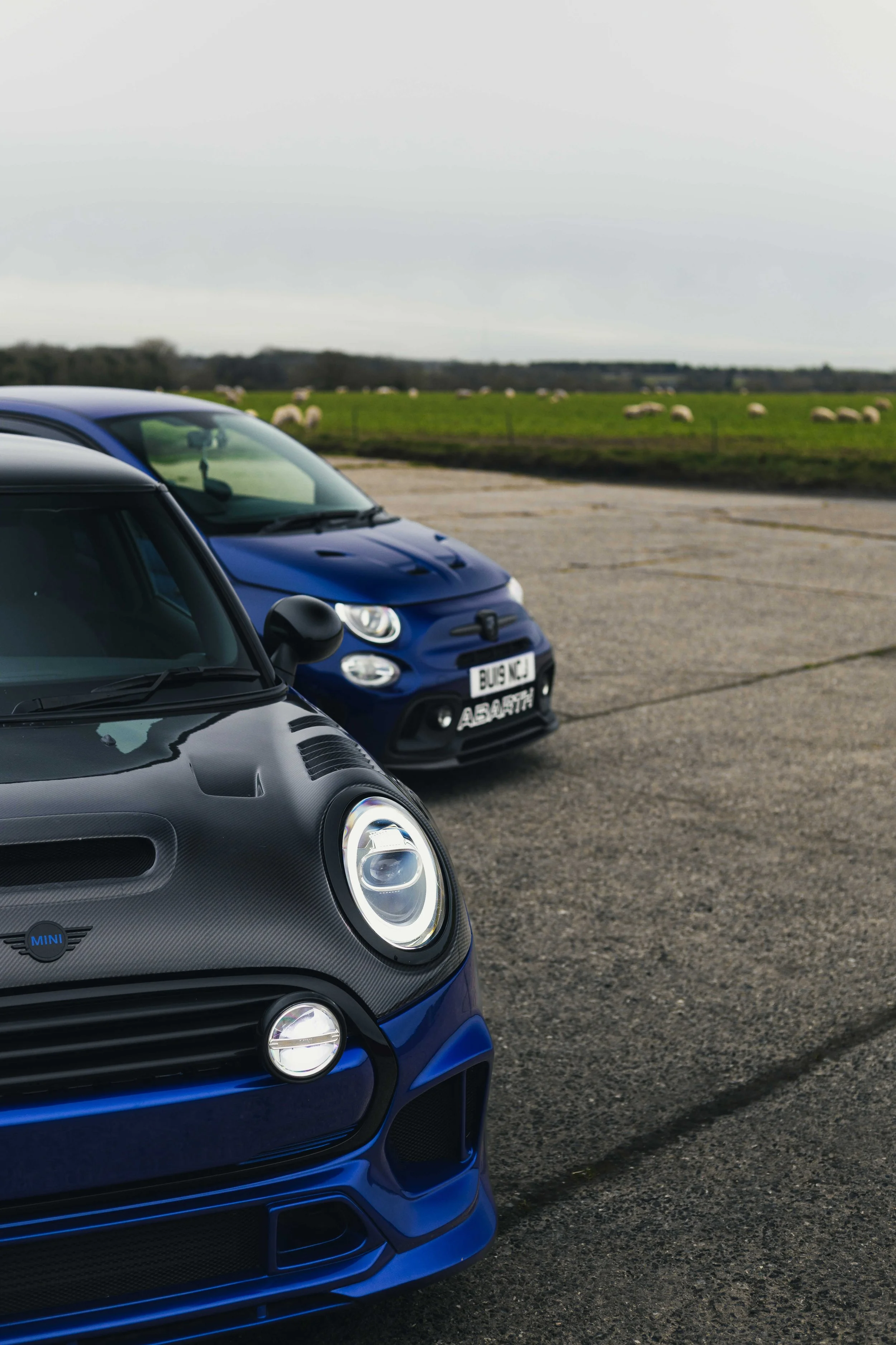 IMG_7958 edited LRC.jpg