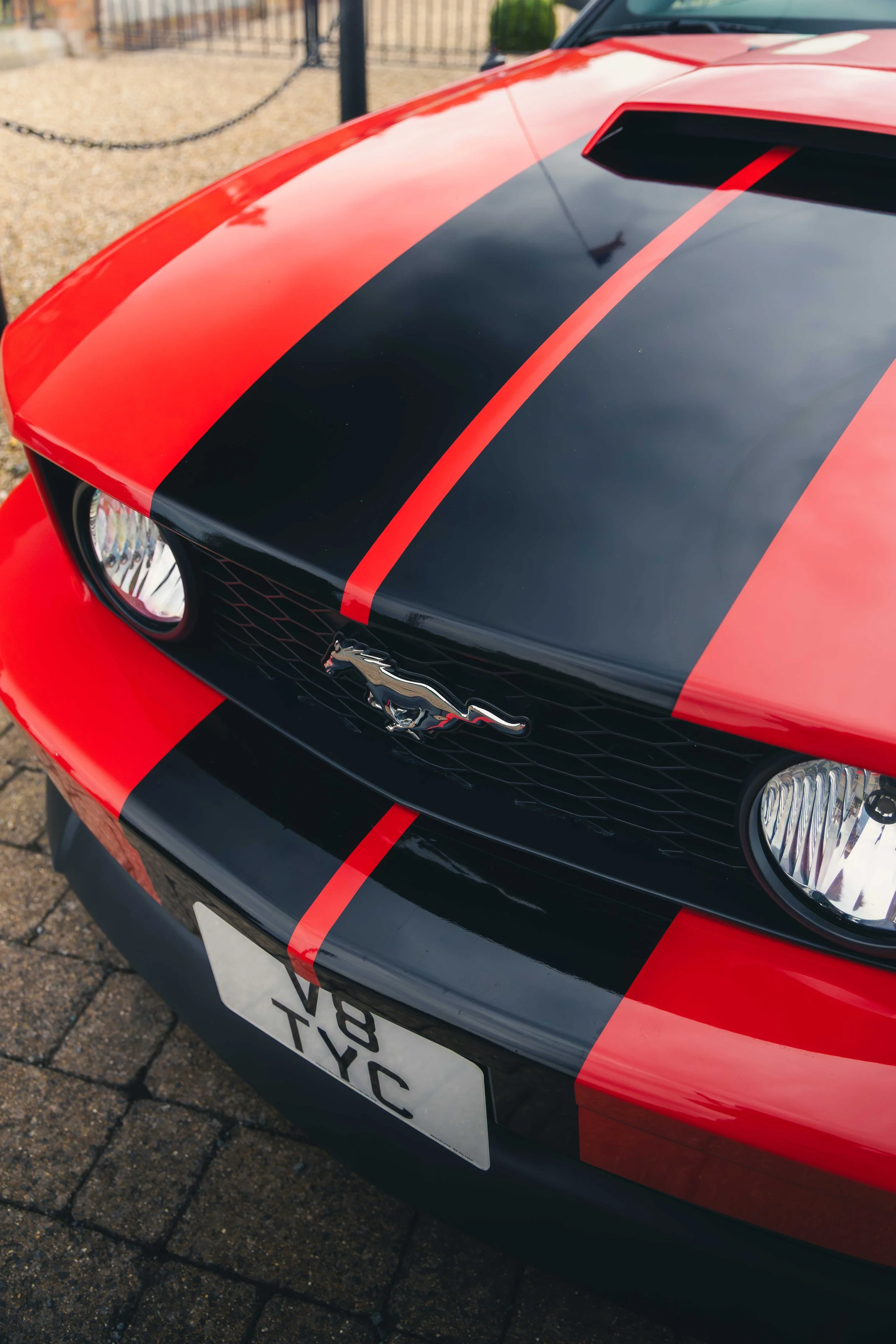 IMG_4673 edited LRC.jpg