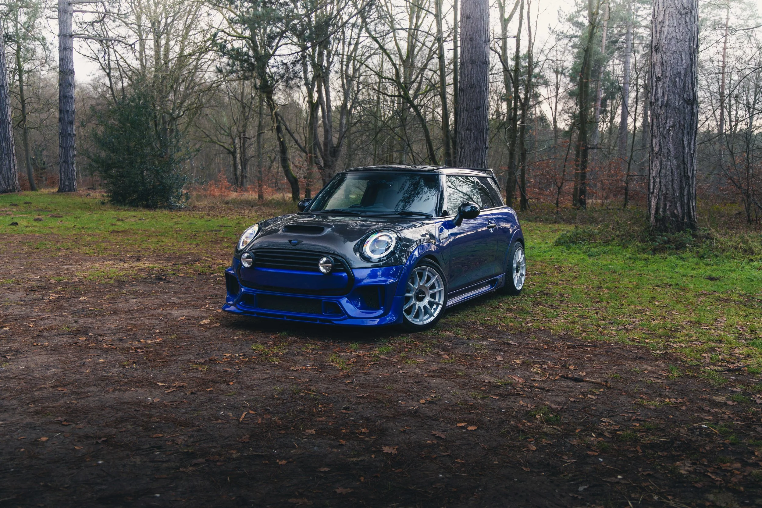 IMG_9441 edited LRC.jpg