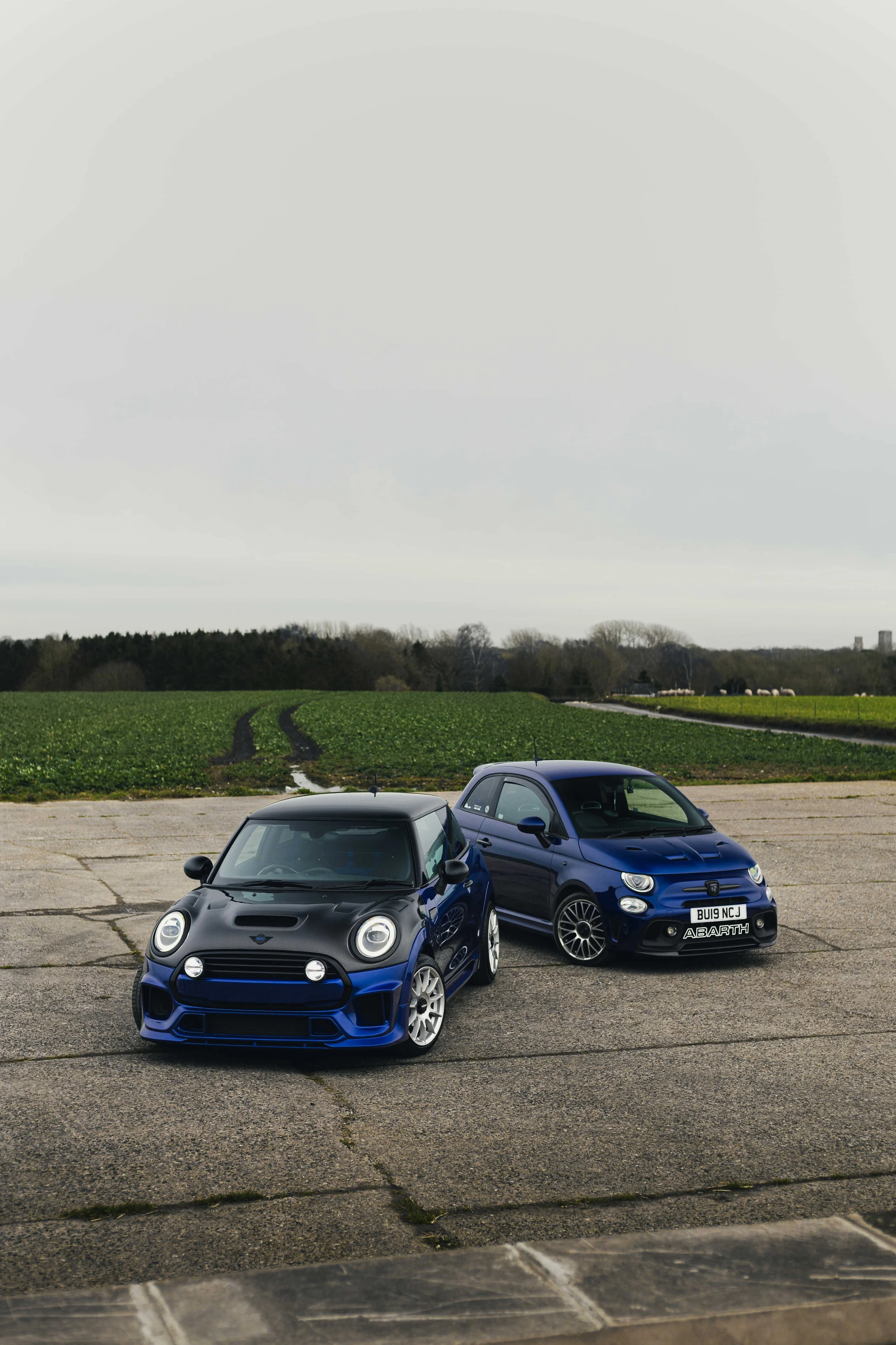 IMG_7956 edited LRC.jpg