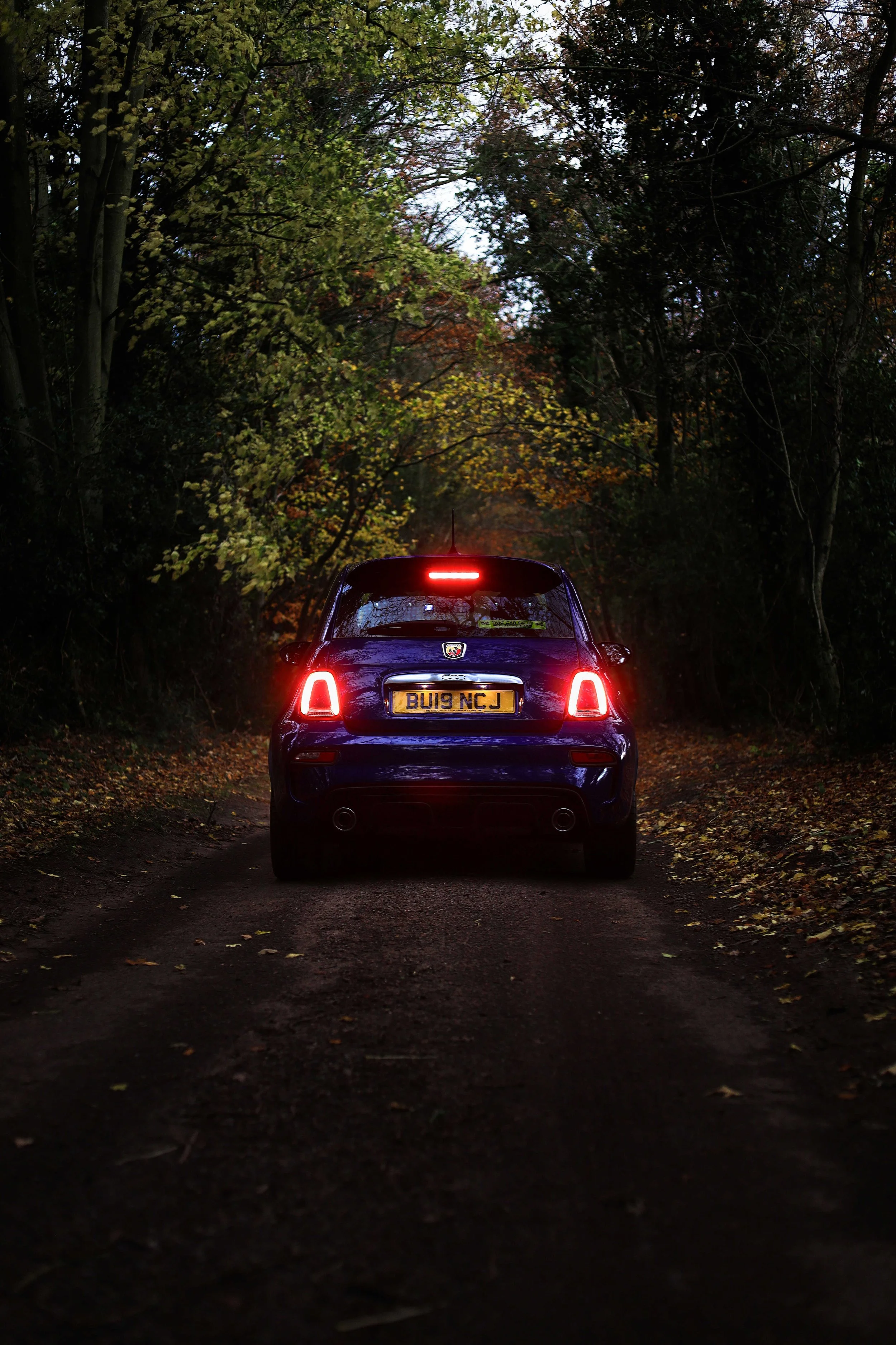 IMG_0522 my edit.jpg