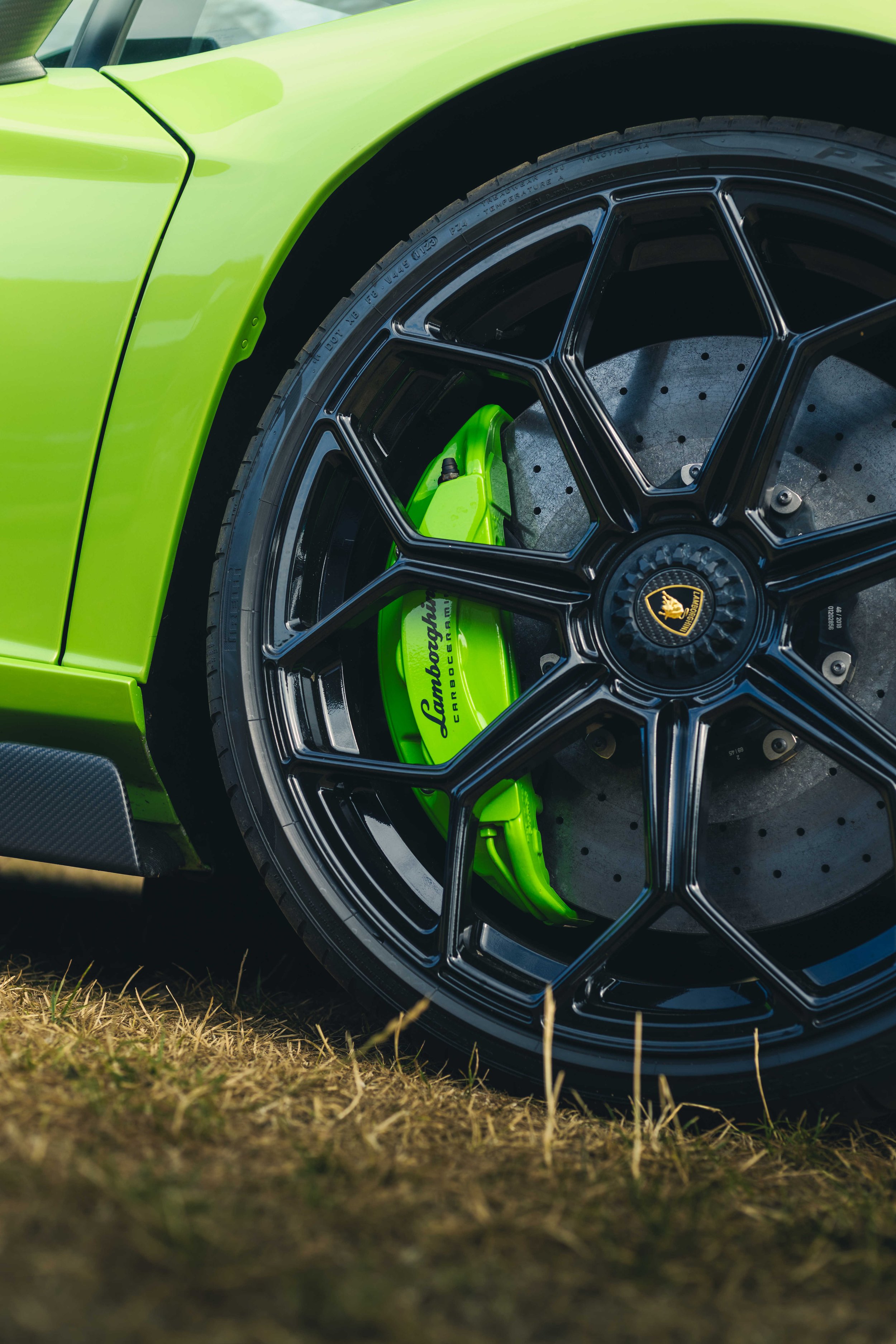 IMG_0382 edited LRC.jpg