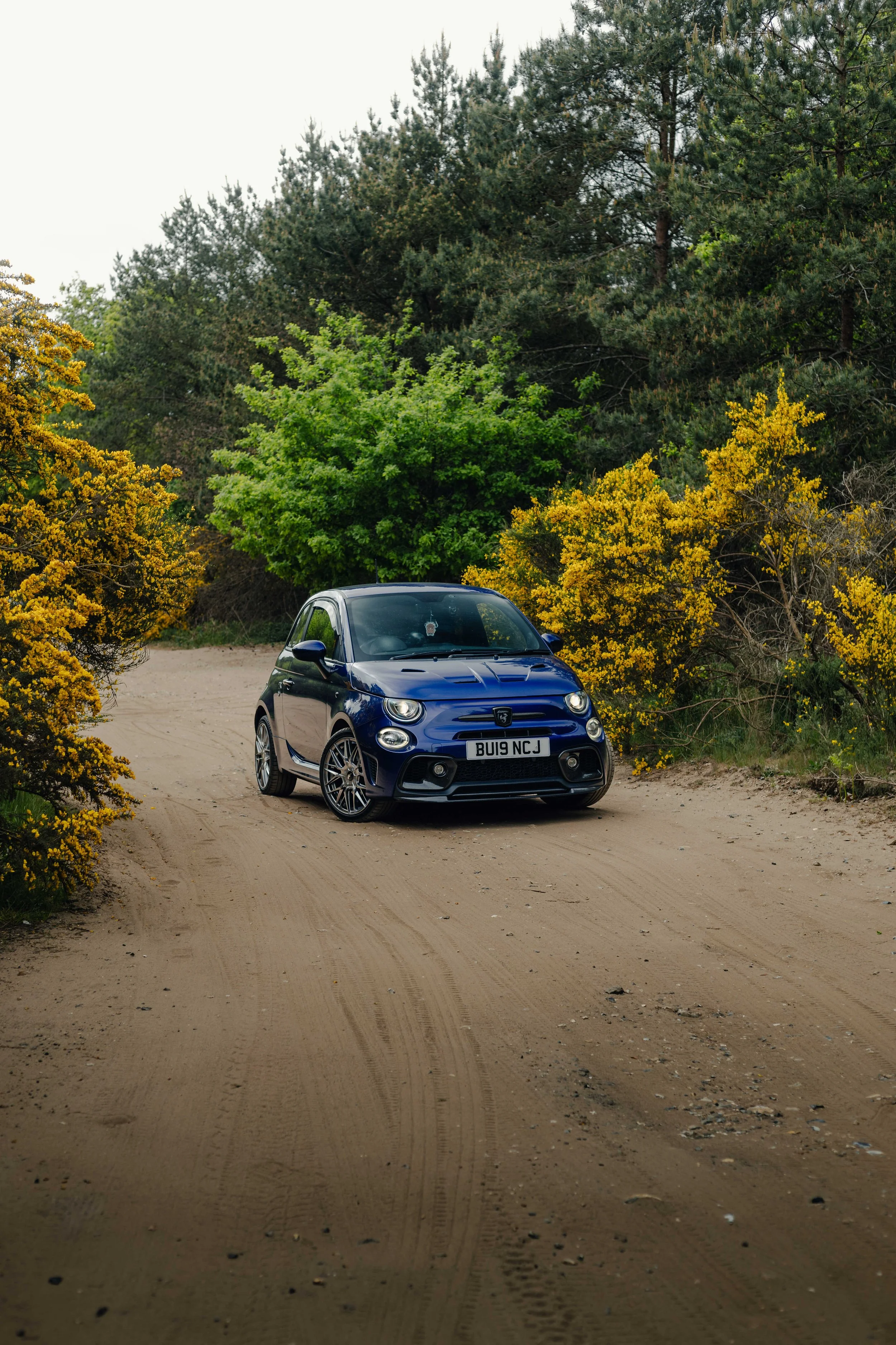 IMG_9433 edited LRC.jpg