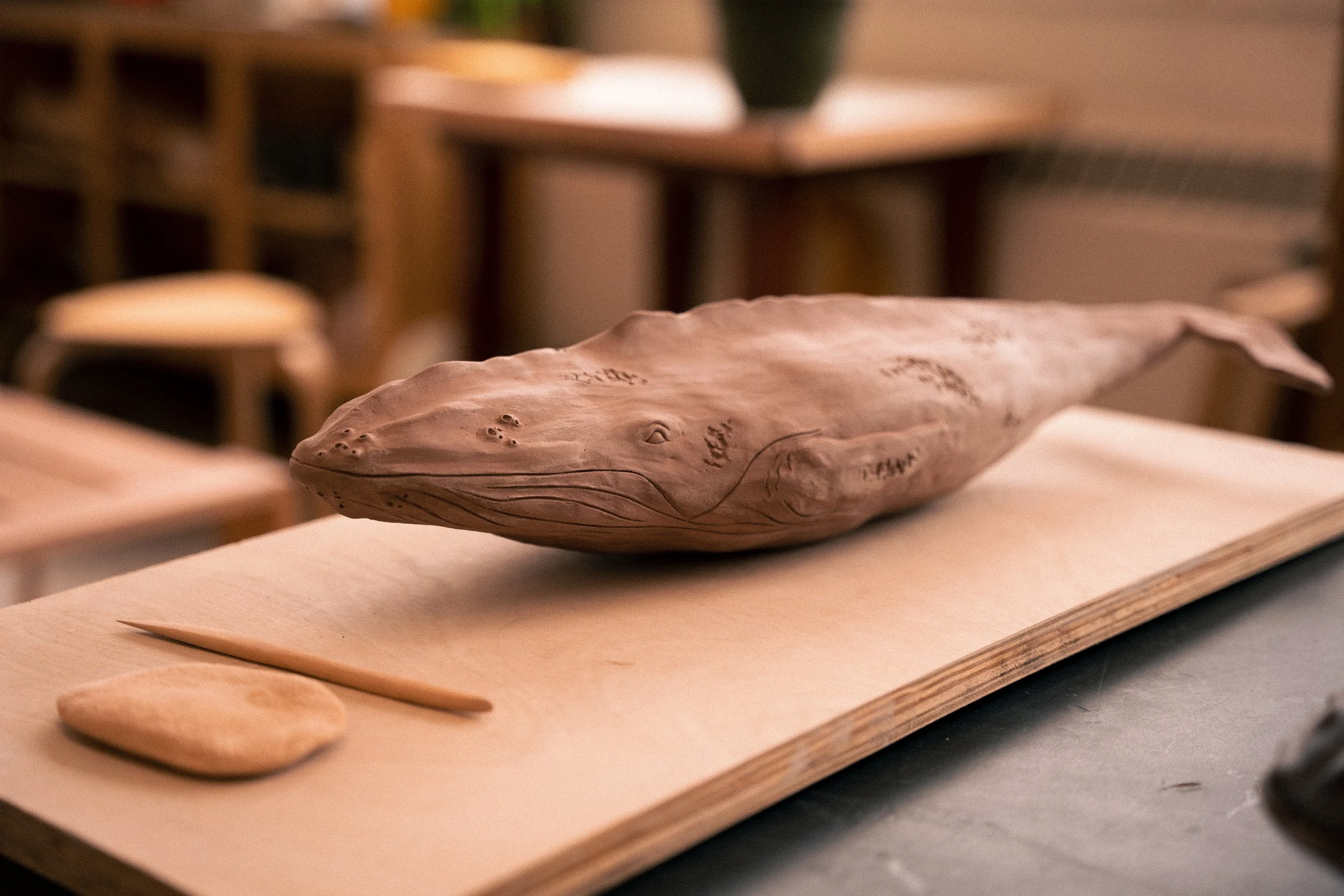 Session de façonnage et sculpture de 8 semaines