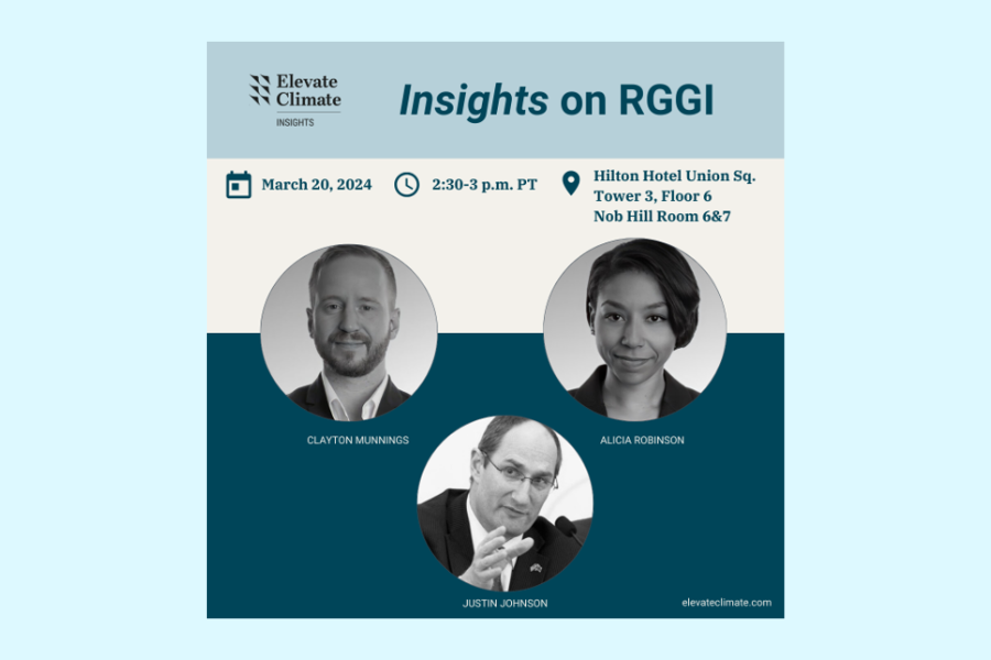 Insights on the Regional Greenhouse Gas Initiative (RGG)