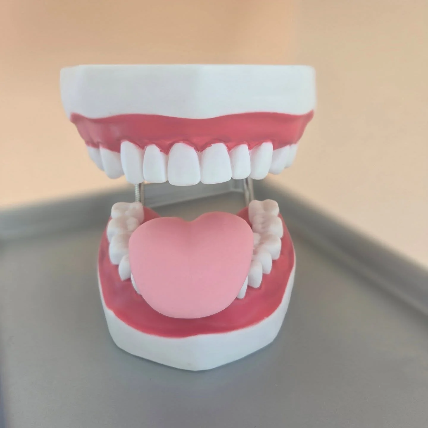 🦷👅 The tongue matters more than you think!

At Elevate Myofunctional Therapy, we help train the muscles of the face, mouth, and tongue to support better breathing, sleep, speech, and overall health.

This model is more than just teeth&mdash;it&rsqu