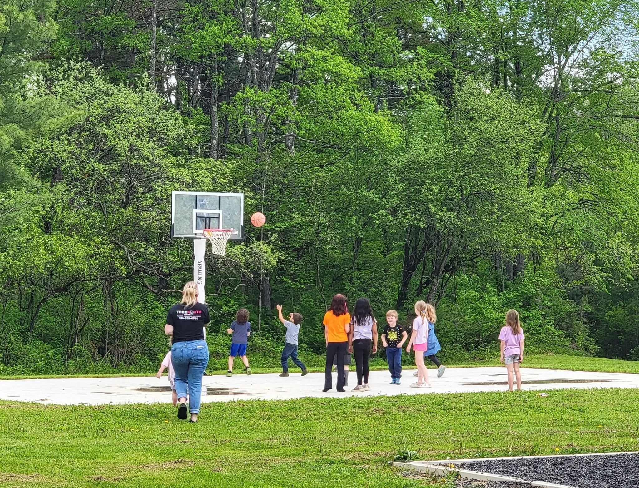 bball.jpg