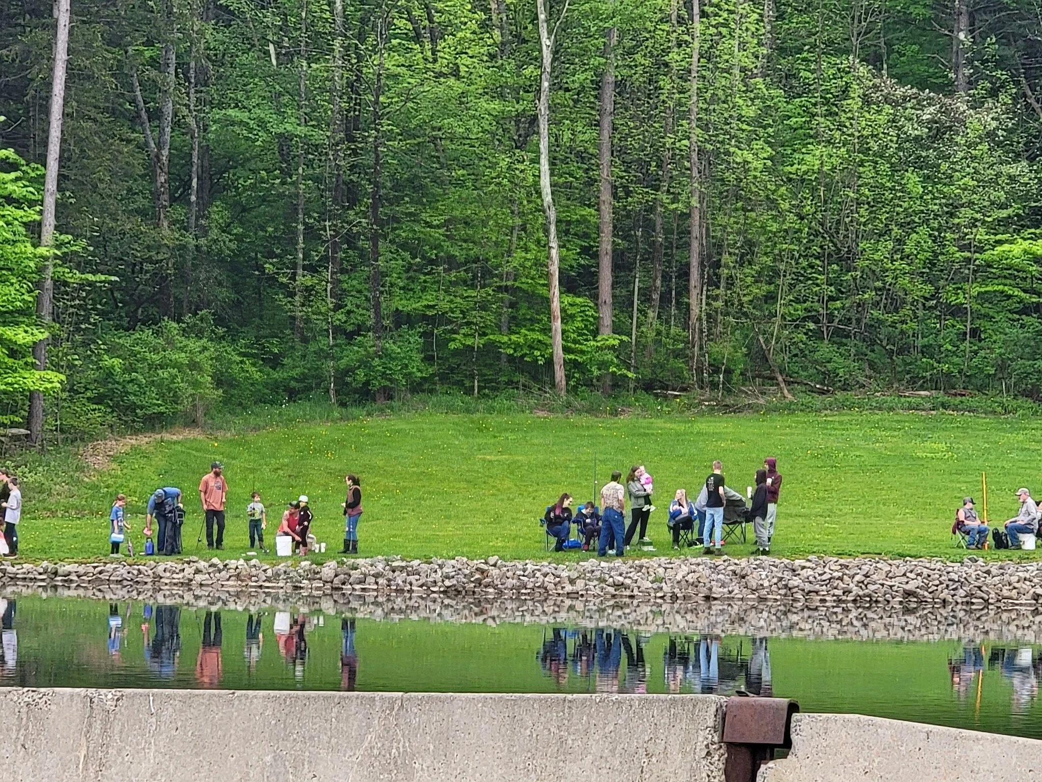 pond 1.jpg