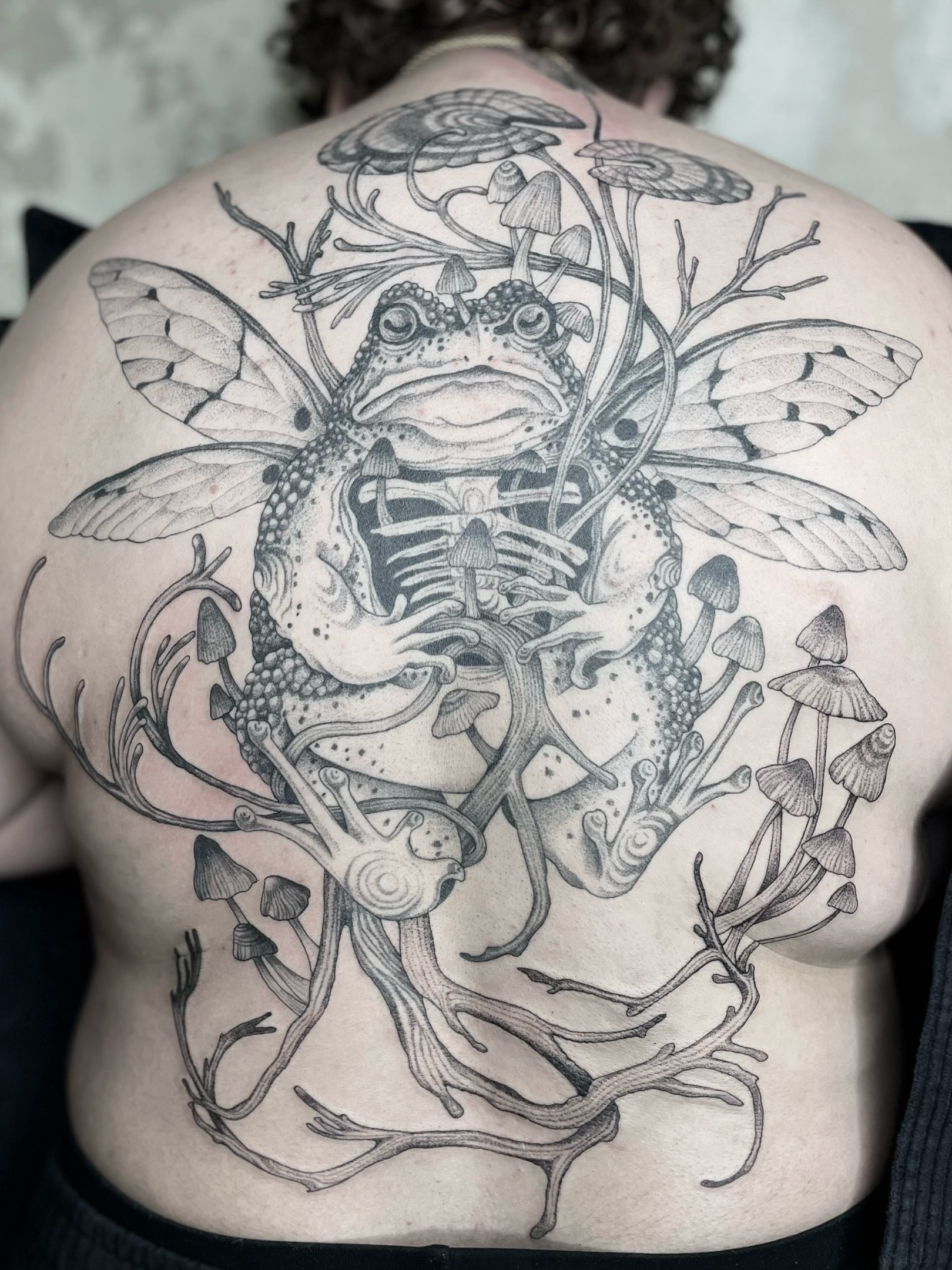 A detailed black and gray tattoo on a person's back depicts a frog with wings, surrounded by branches, mushrooms, and various insects.