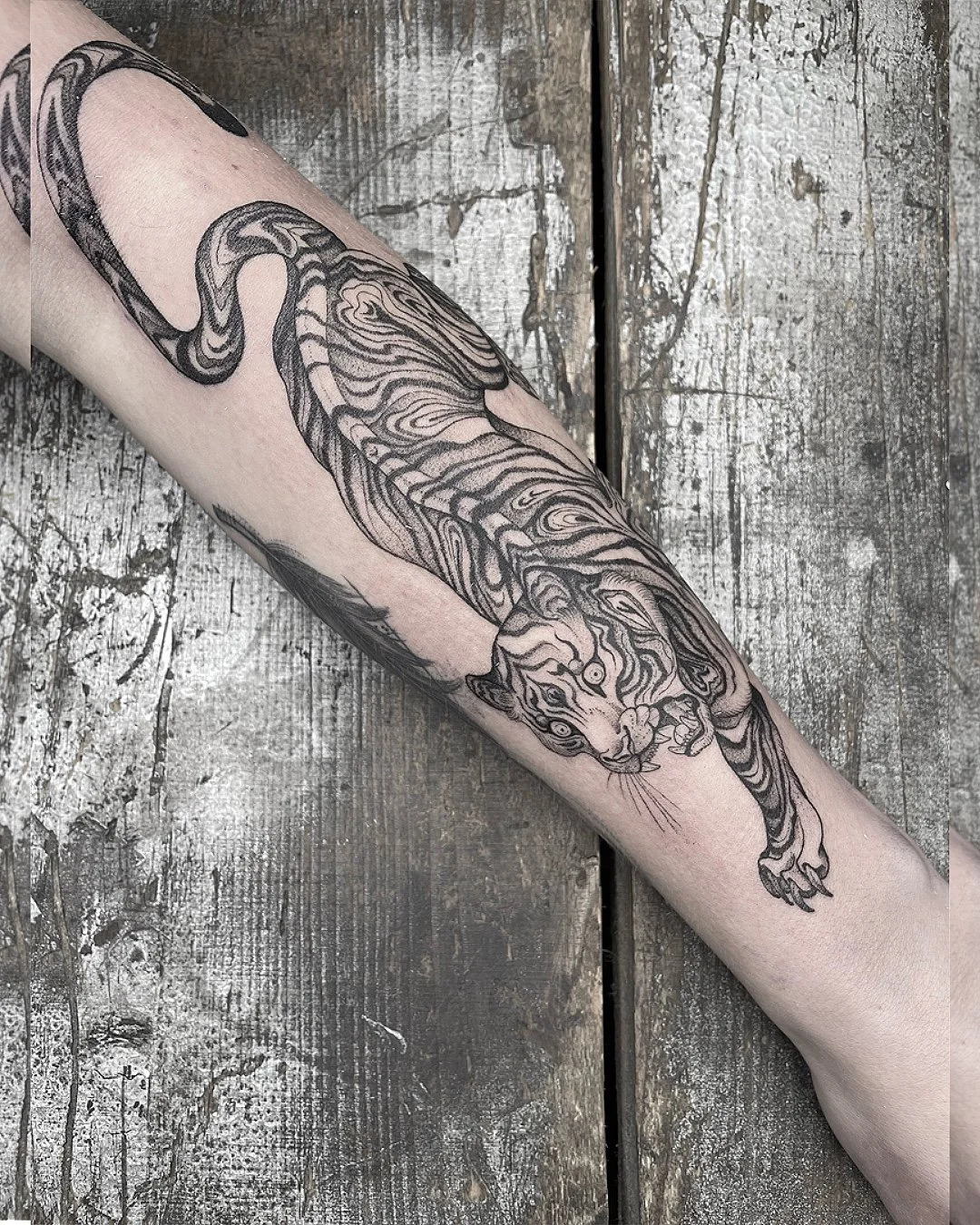 A detailed black and gray tattoo of a tiger stretching along a person's forearm, with intricate line work and shading.