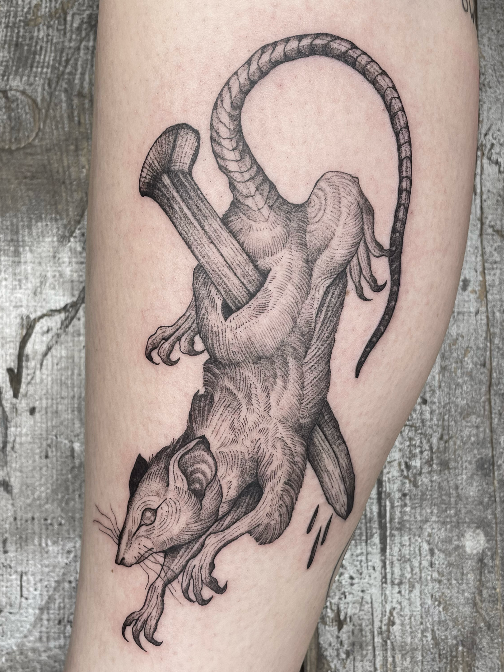 A black and gray tattoo of a rat and spike, with detailed shading and realistic features on a person's arm.