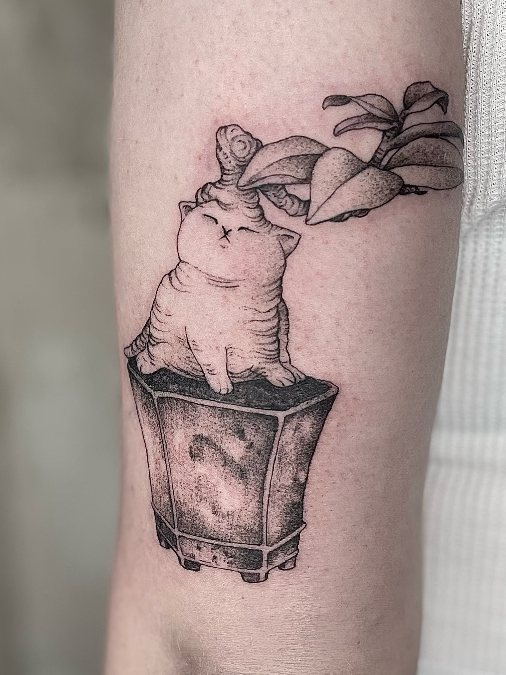Tattoo of a pig with a unicorn horn and plants in a pot on skin.