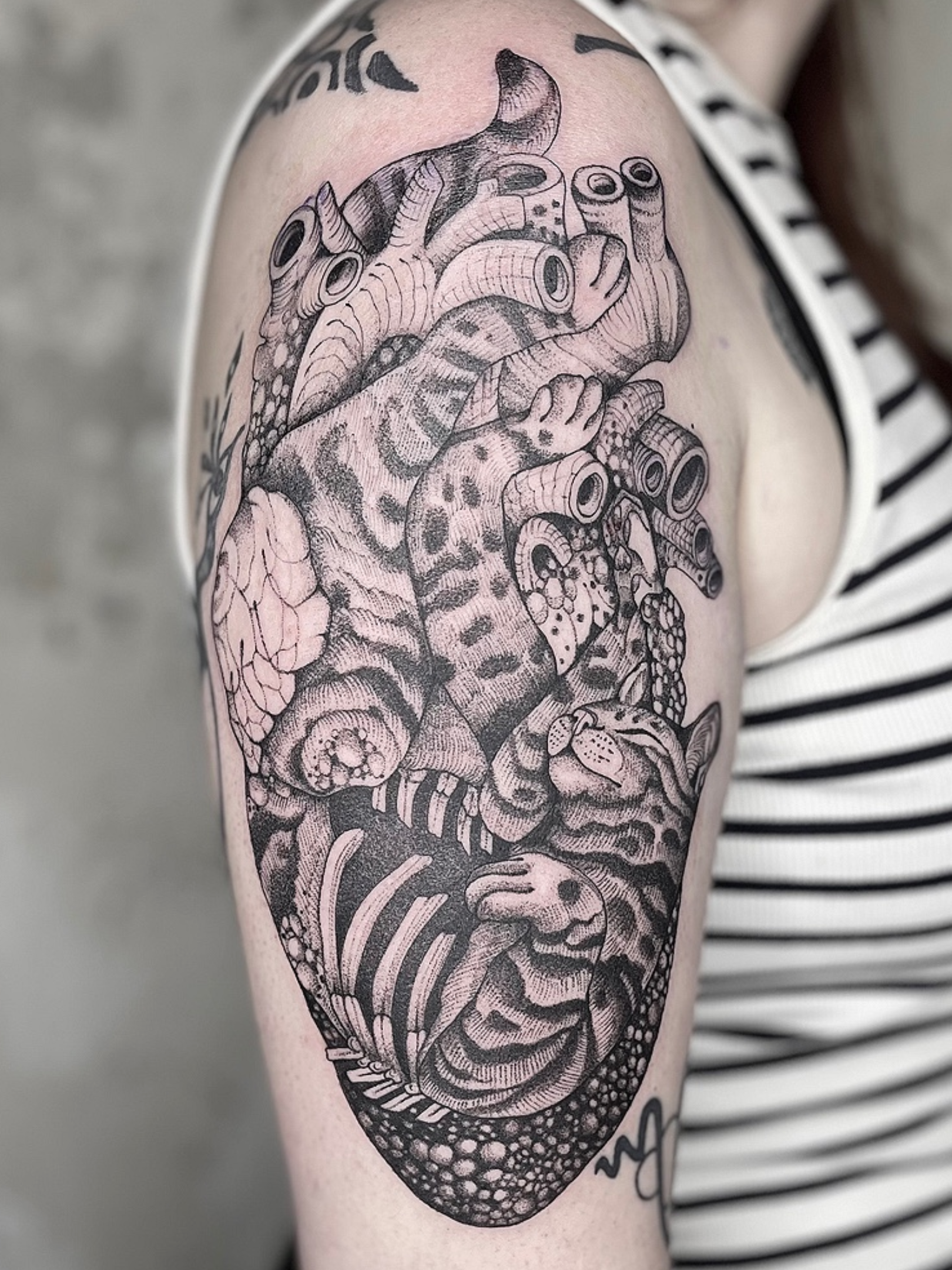 A black and gray tattoo of a detailed anatomical human heart with serpent and snake-like elements on a person's upper arm.