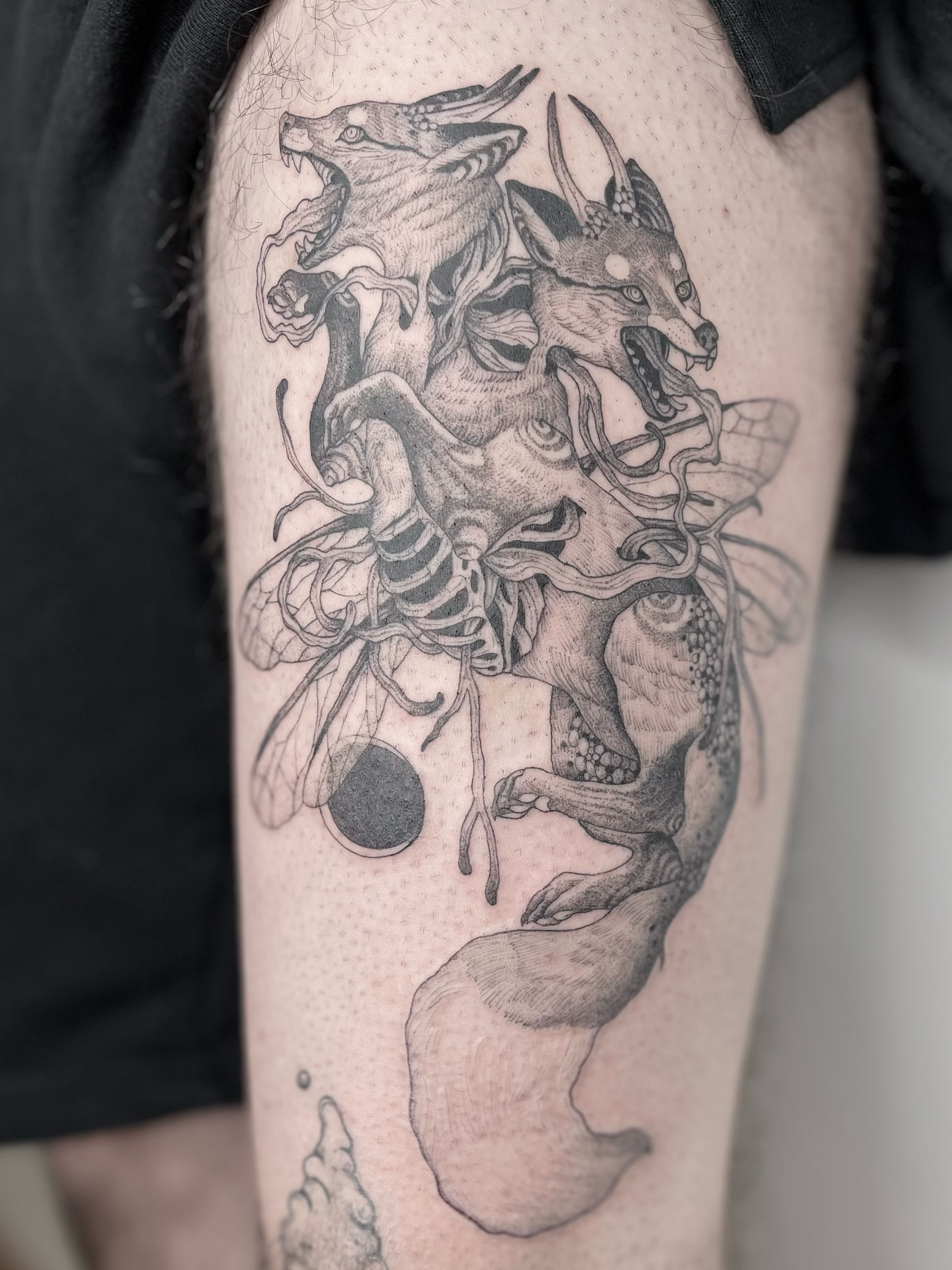 Black and gray tattoo of a wolf and a dragon intertwined, with detailed linework on a person's upper arm.