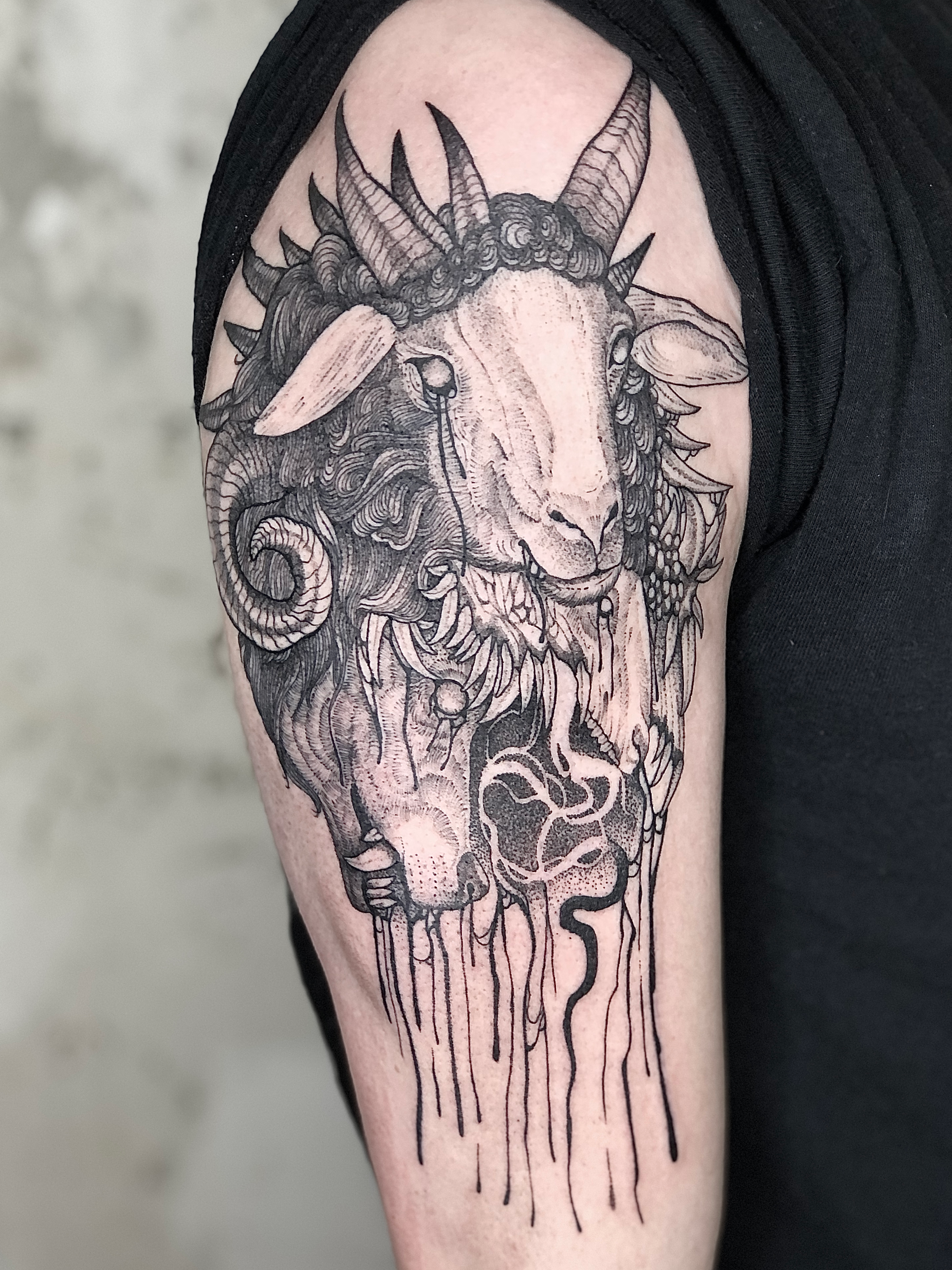 Black and gray tattoo of a goat's head with detailed facial features, large curved horns, and swirling hair, on a person's upper arm.