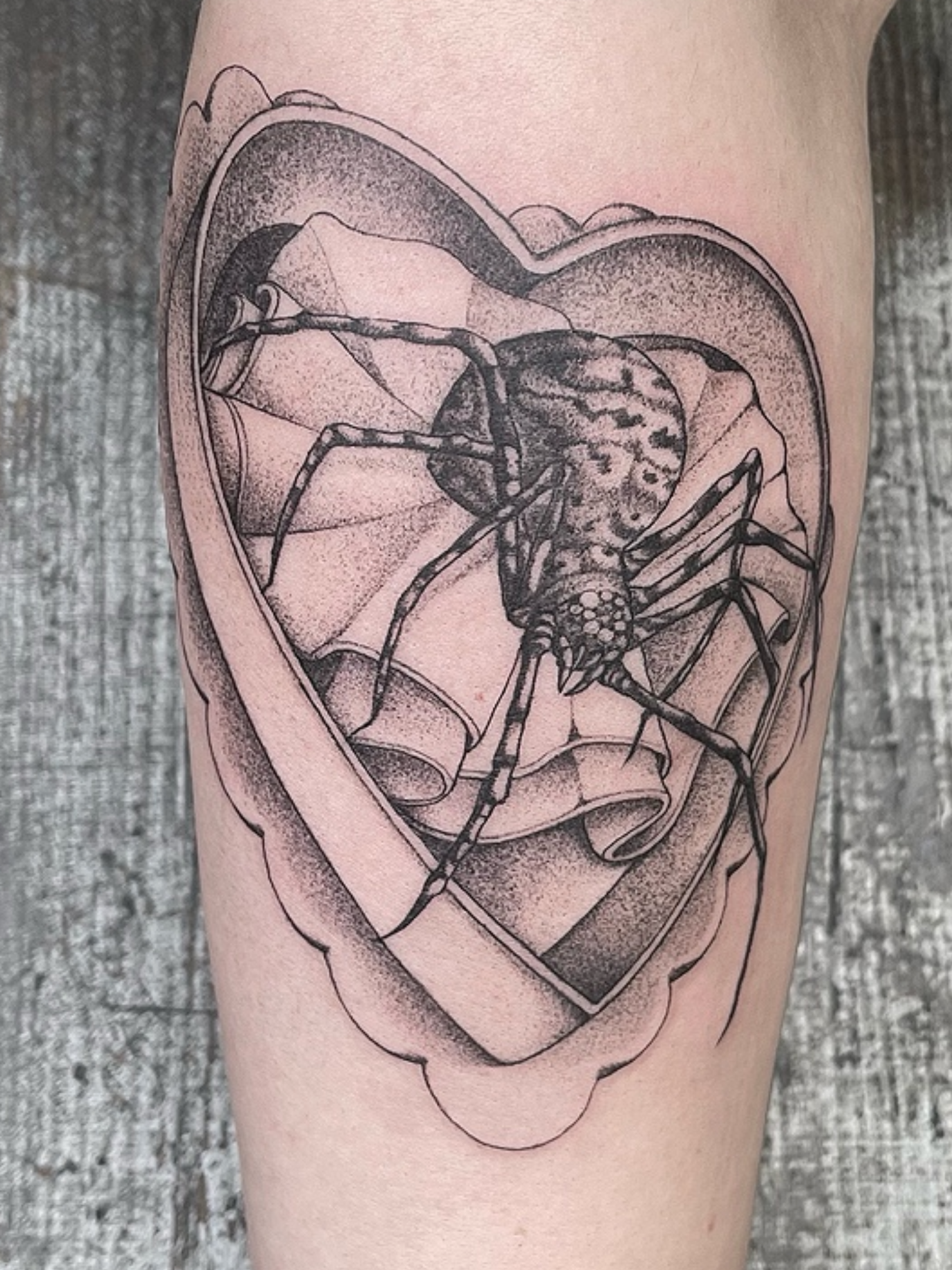 Tattoo of a heart  shaped box with a spider inside it on a person's arm.