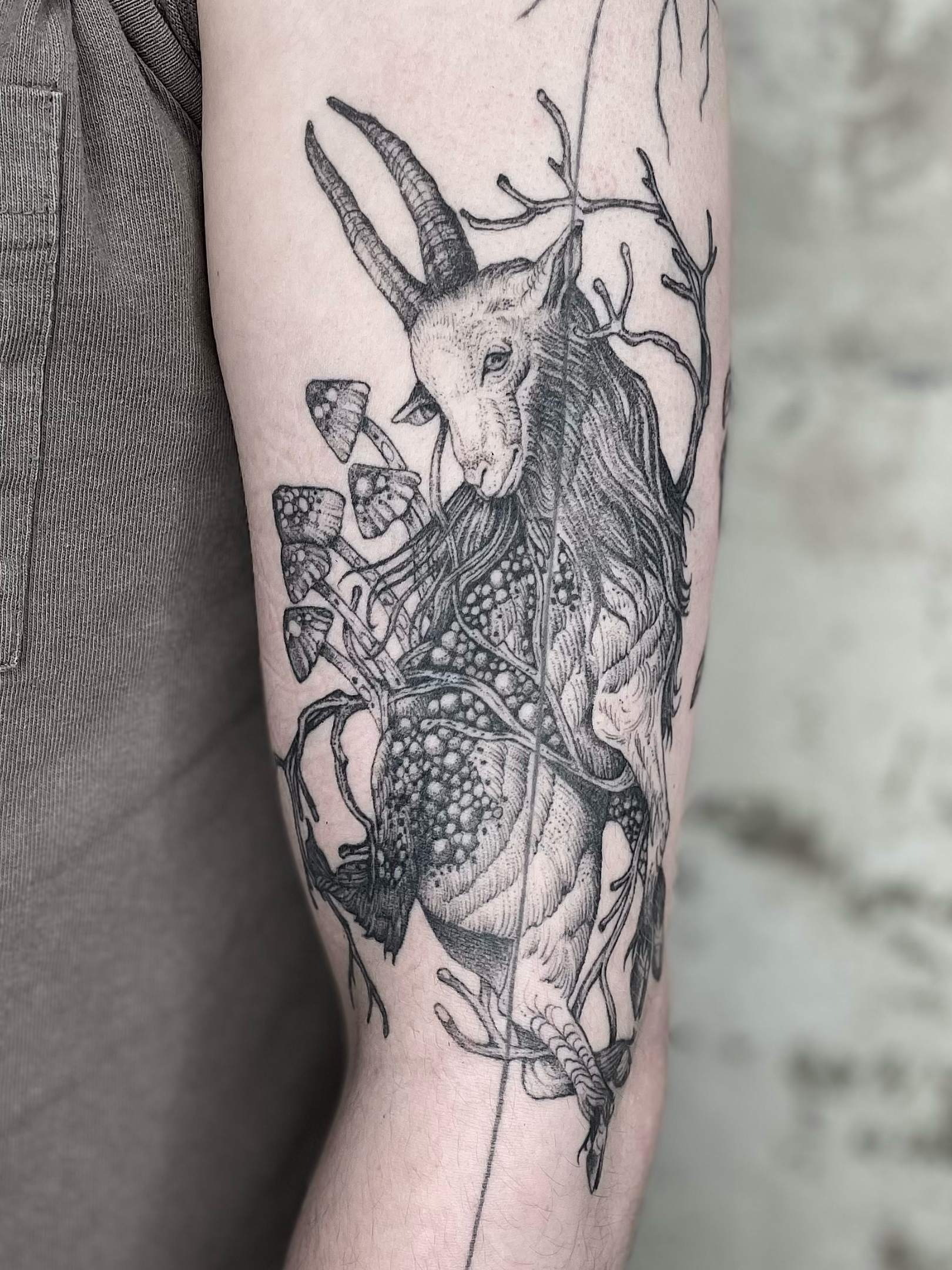 Black and white tattoo of a goat with antlers intertwined with tree branches on a person's arm.