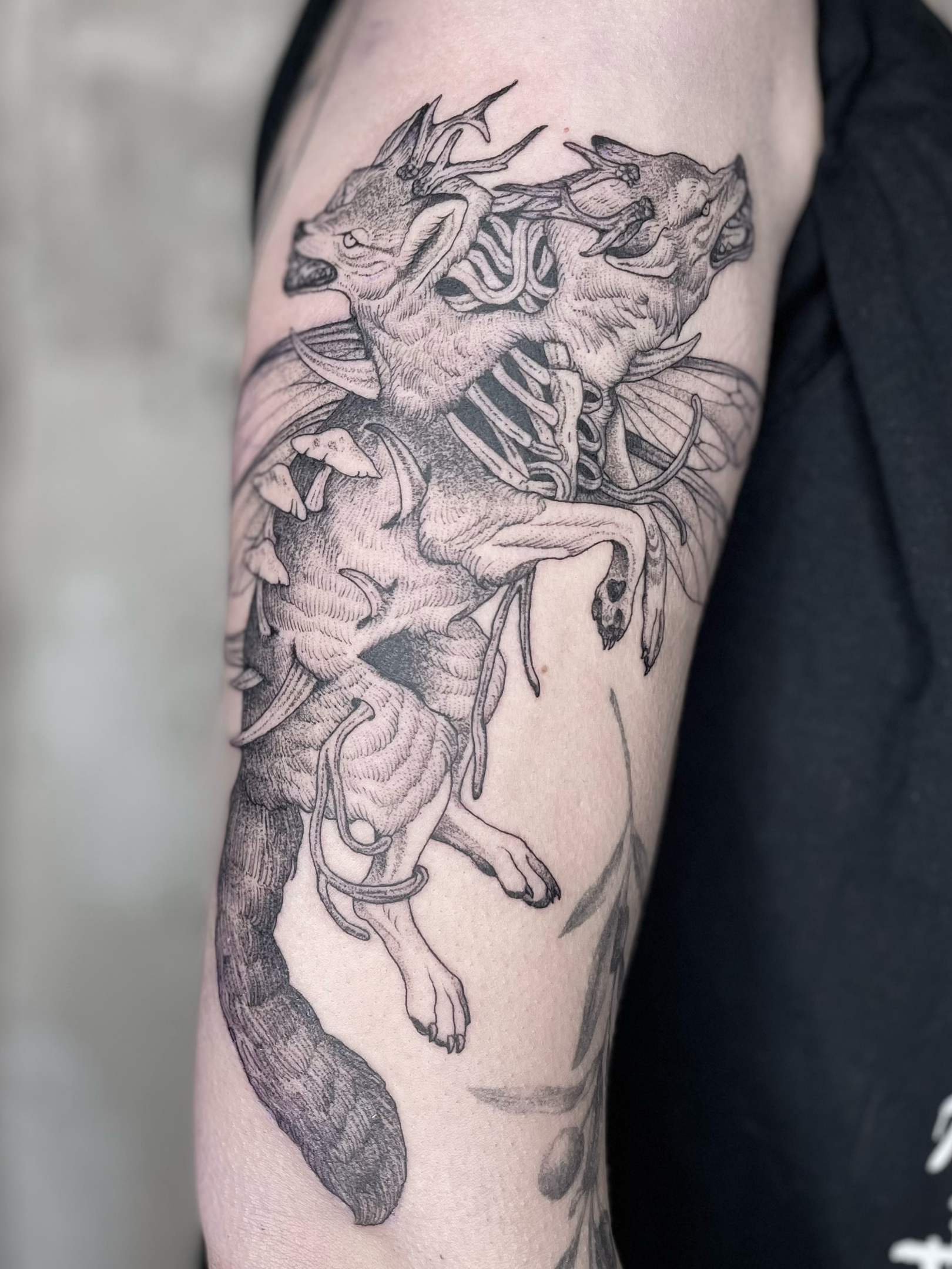 Black and gray tattoo of a mythical creature with the body of a wolf and a head with sharp features, horns, and an open mouth, with detailed shading and intricate line work.
