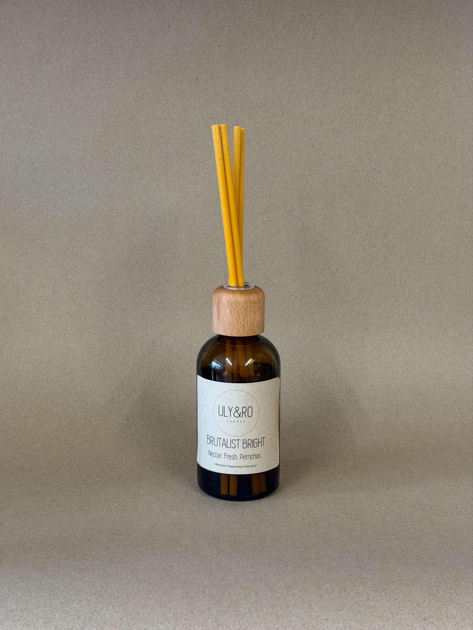 Brutalist Bright diffuser reeds in.jpeg