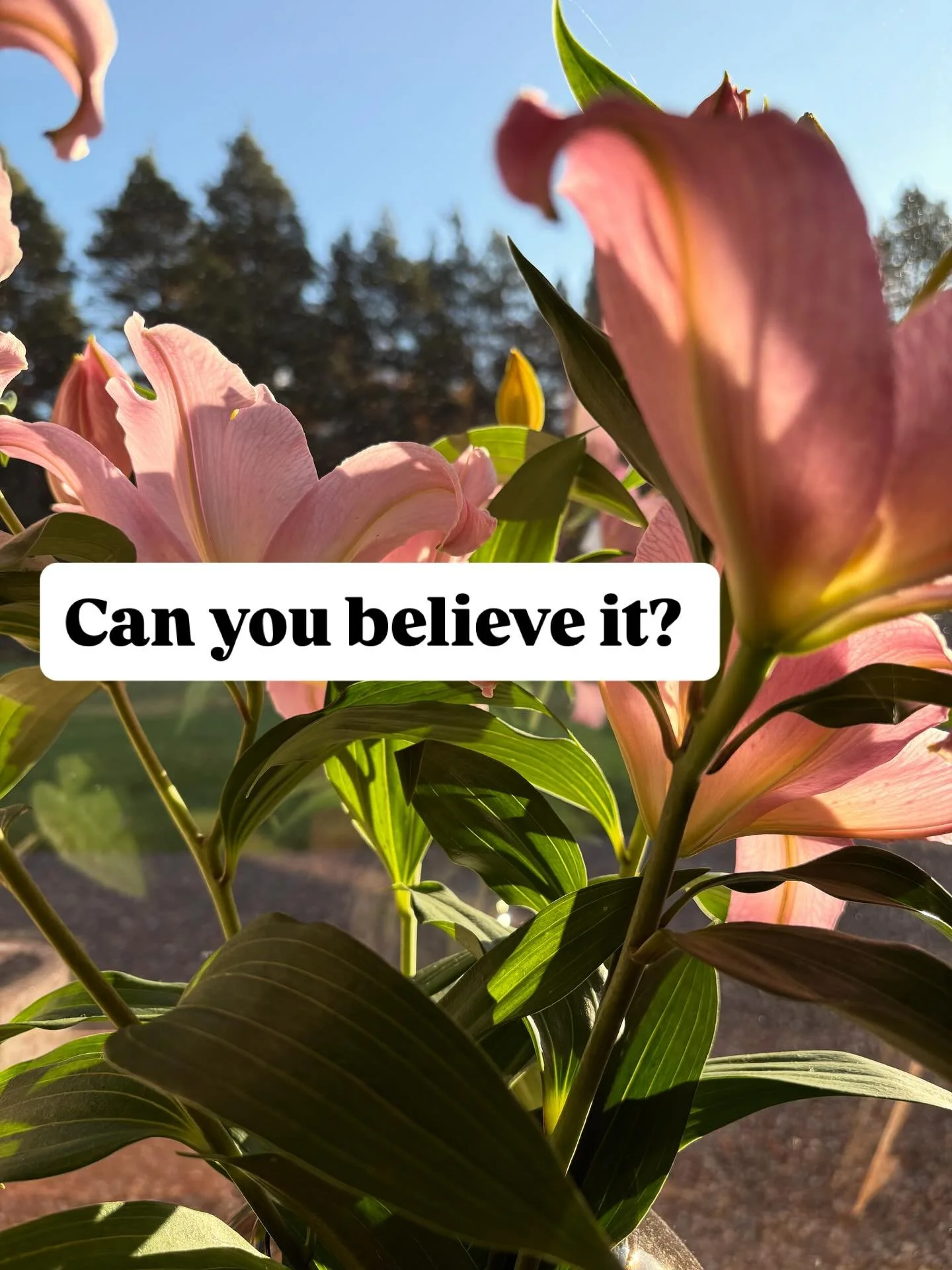 A year ago tomorrow ULY&amp;RO opened its doors for the first time. It started small and I&rsquo;ve met and dealt with so many lovely people and am grateful to each and every customer and supplier. I would like to say an especially huge thank you to 