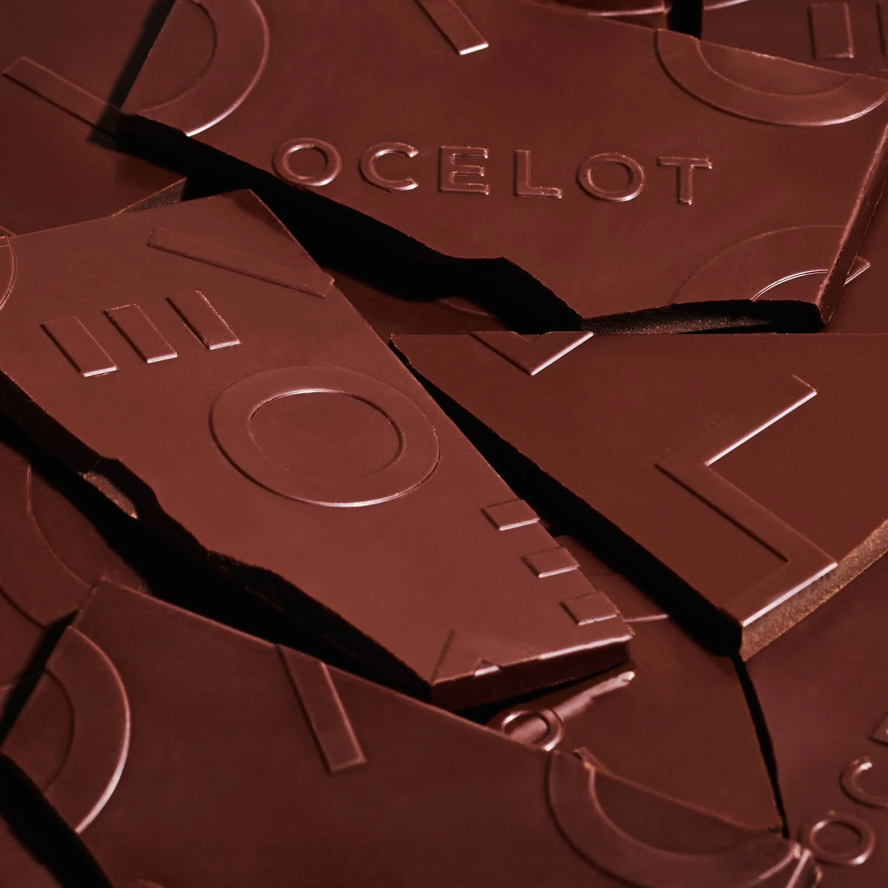 Ocelot_Chocolate_1.jpg (Copy) (Copy) (Copy)